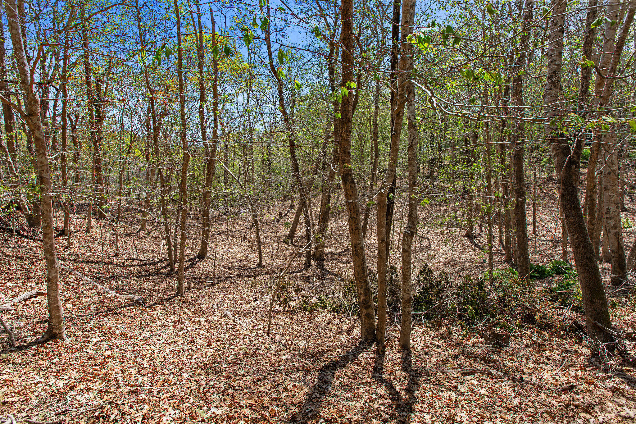 0 Landing Drive Property Photo 10