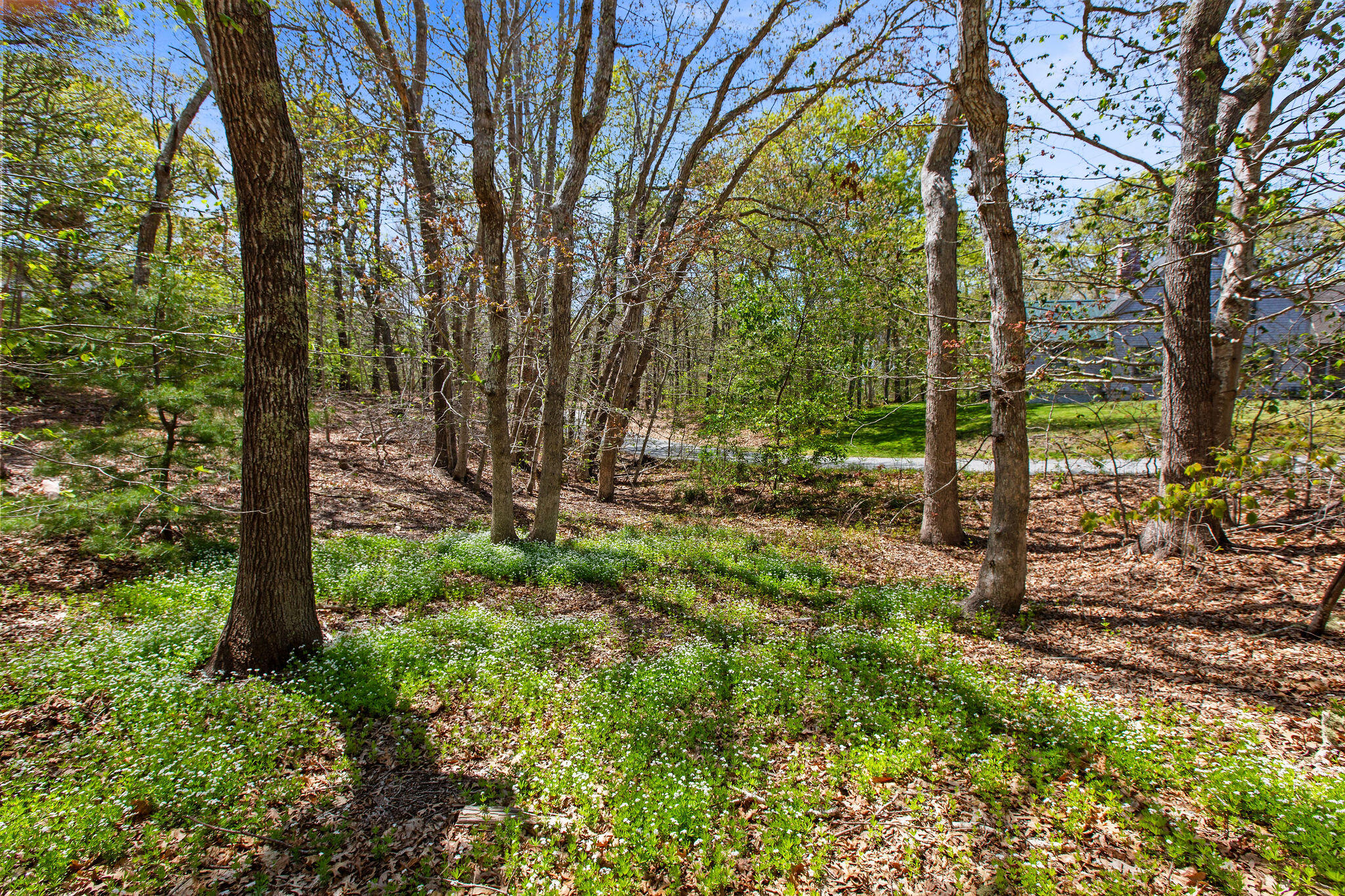 0 Landing Drive Property Photo 11