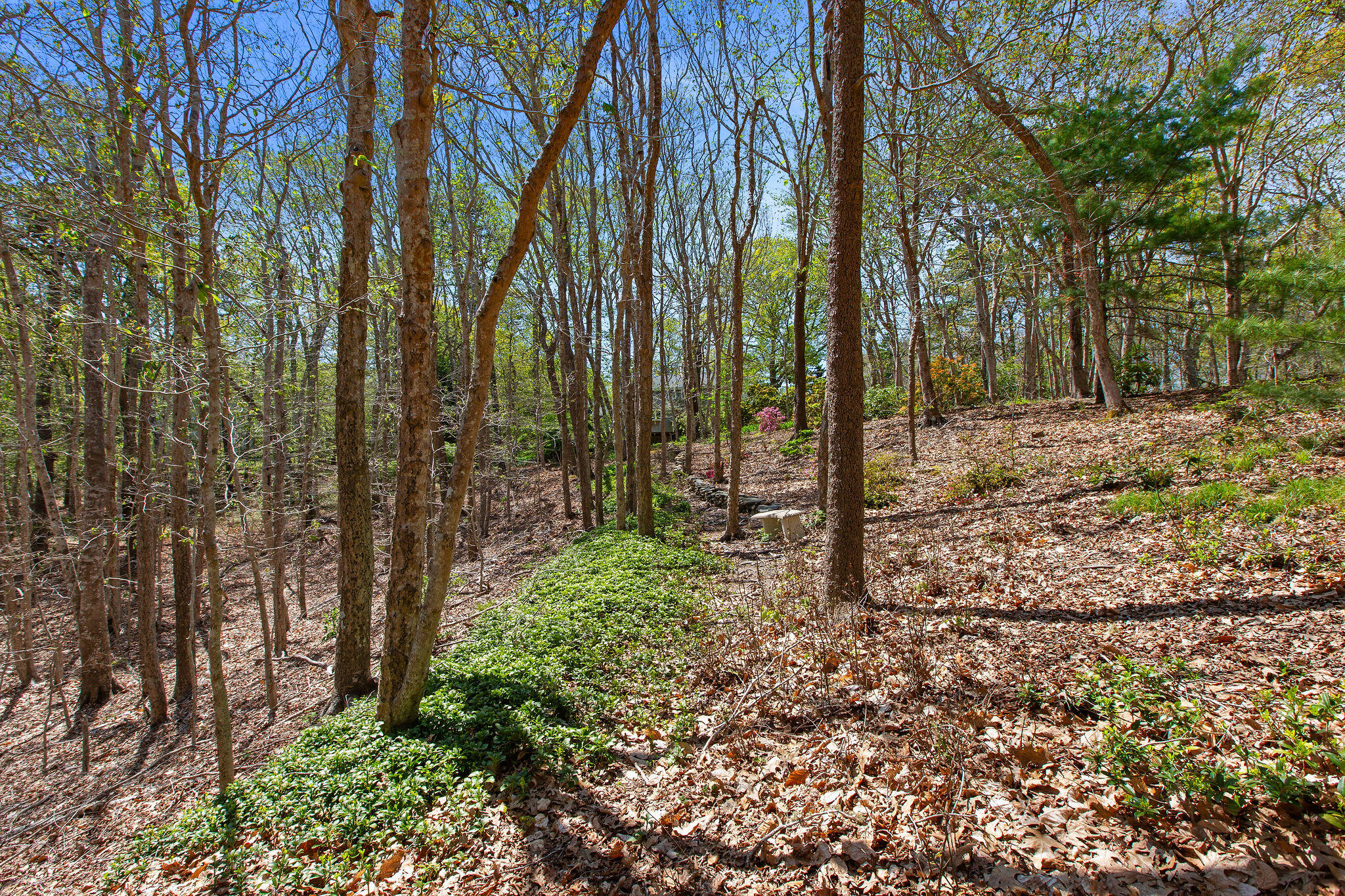 0 Landing Drive Property Photo 12