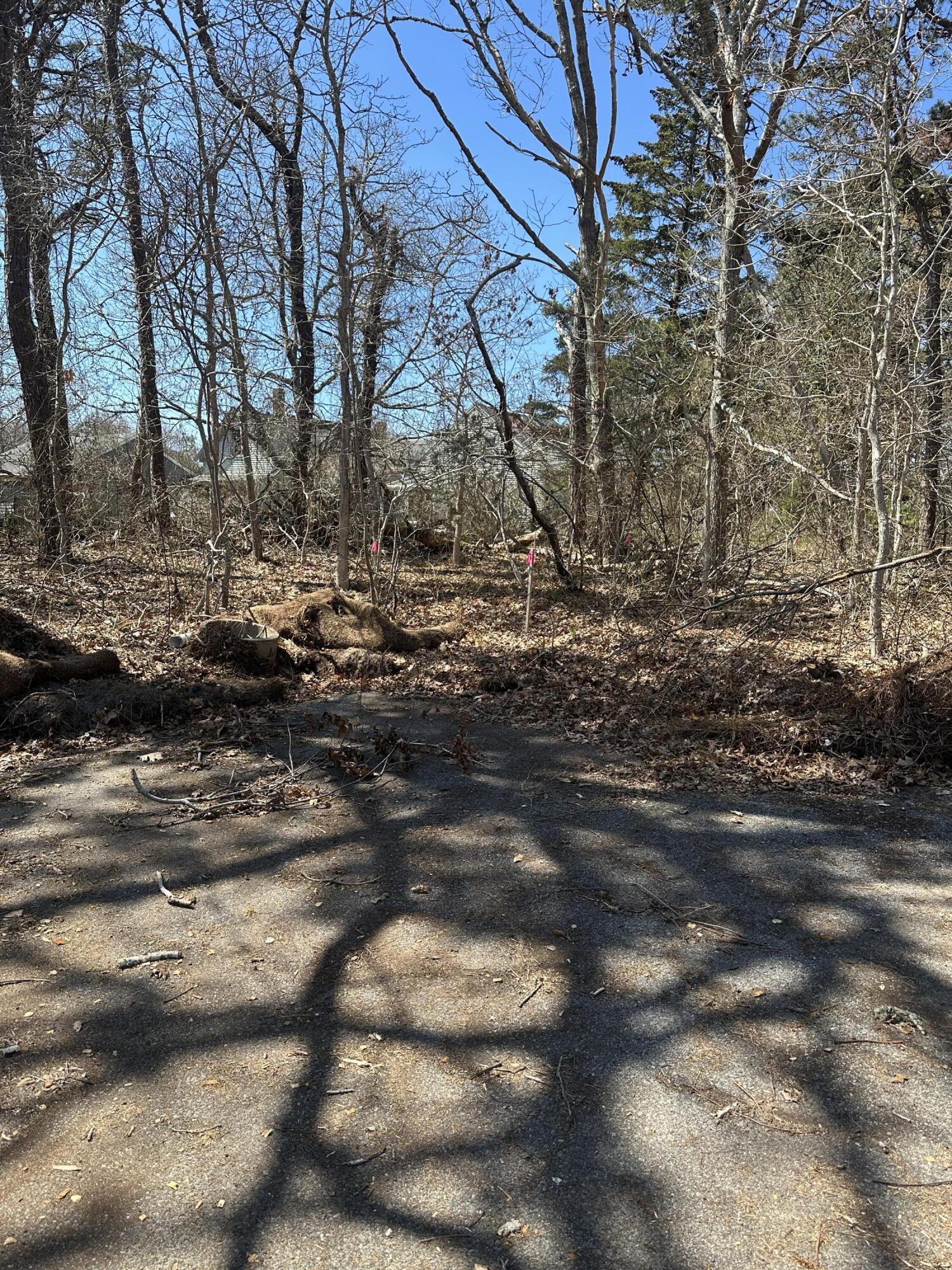 83 Telegraph Road Property Photo 2