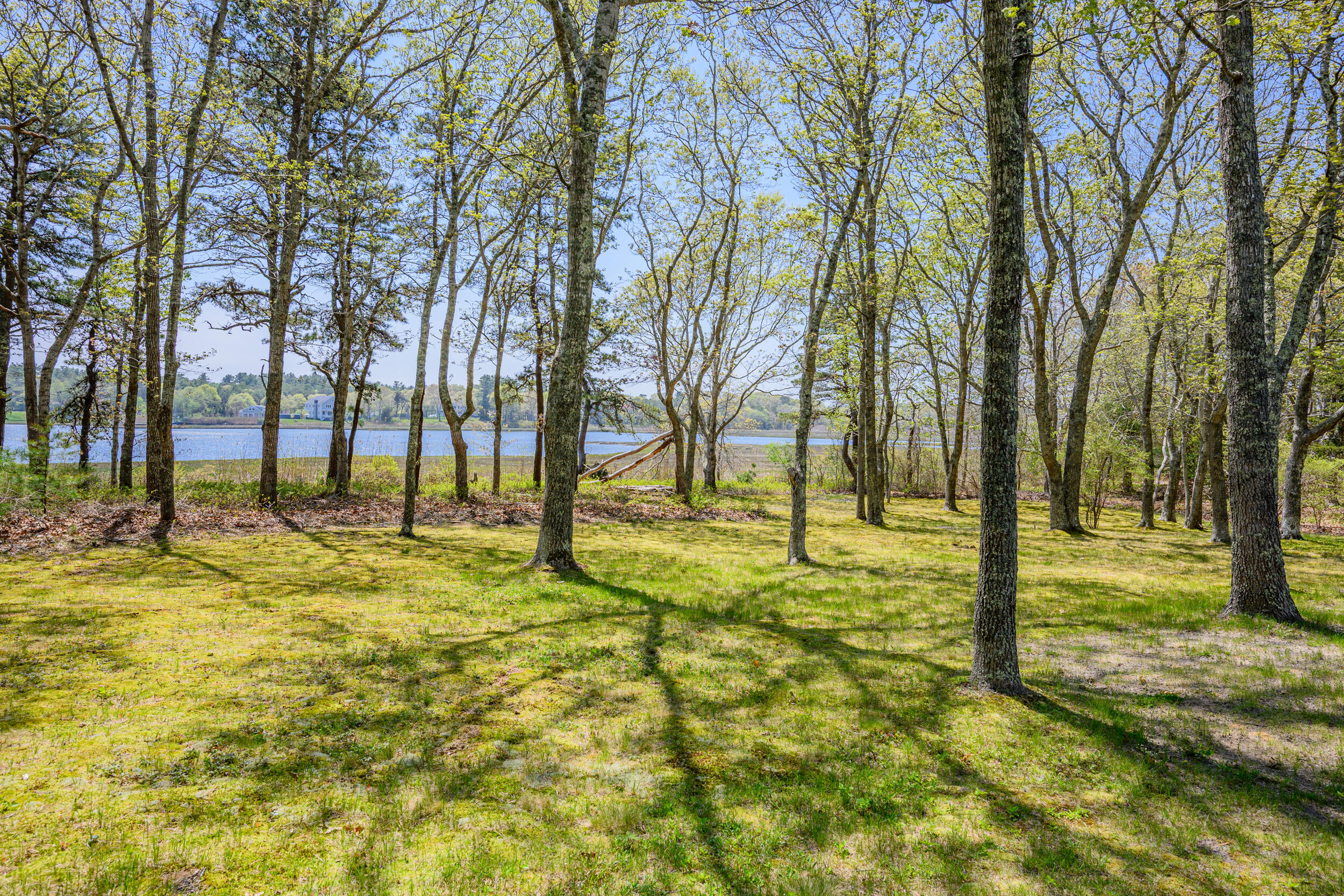 66 Squaw's Path Property Photo 41