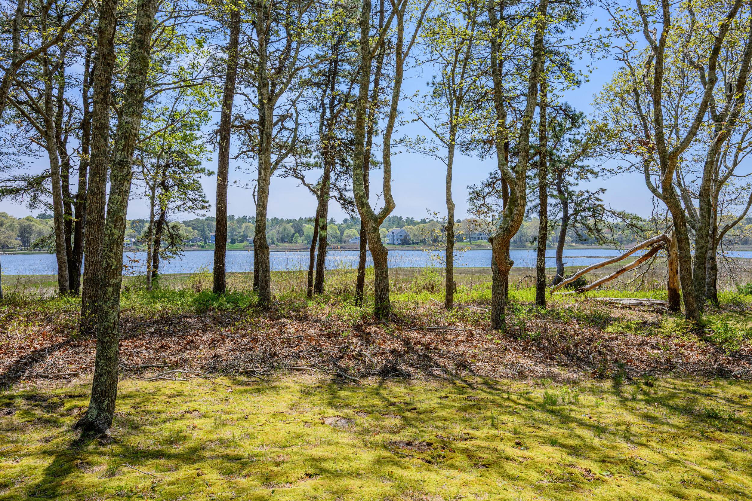 66 Squaw's Path Property Photo 42