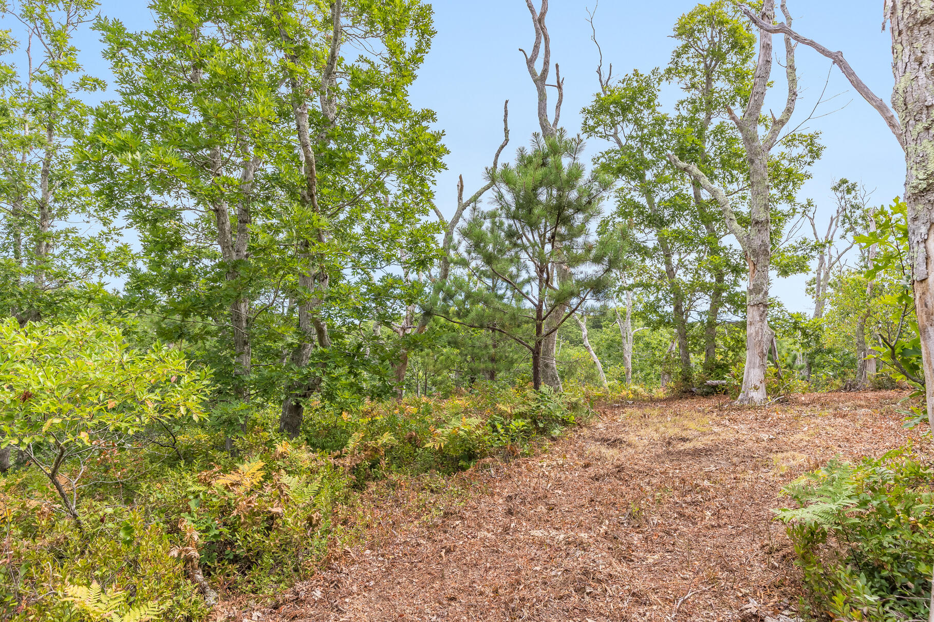 35a Higgins Hollow Road Property Photo 7