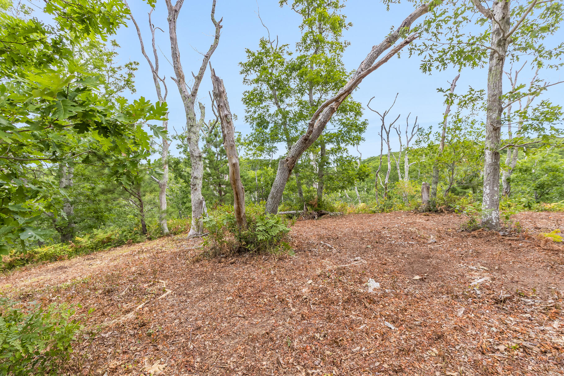 35a Higgins Hollow Road Property Photo 8