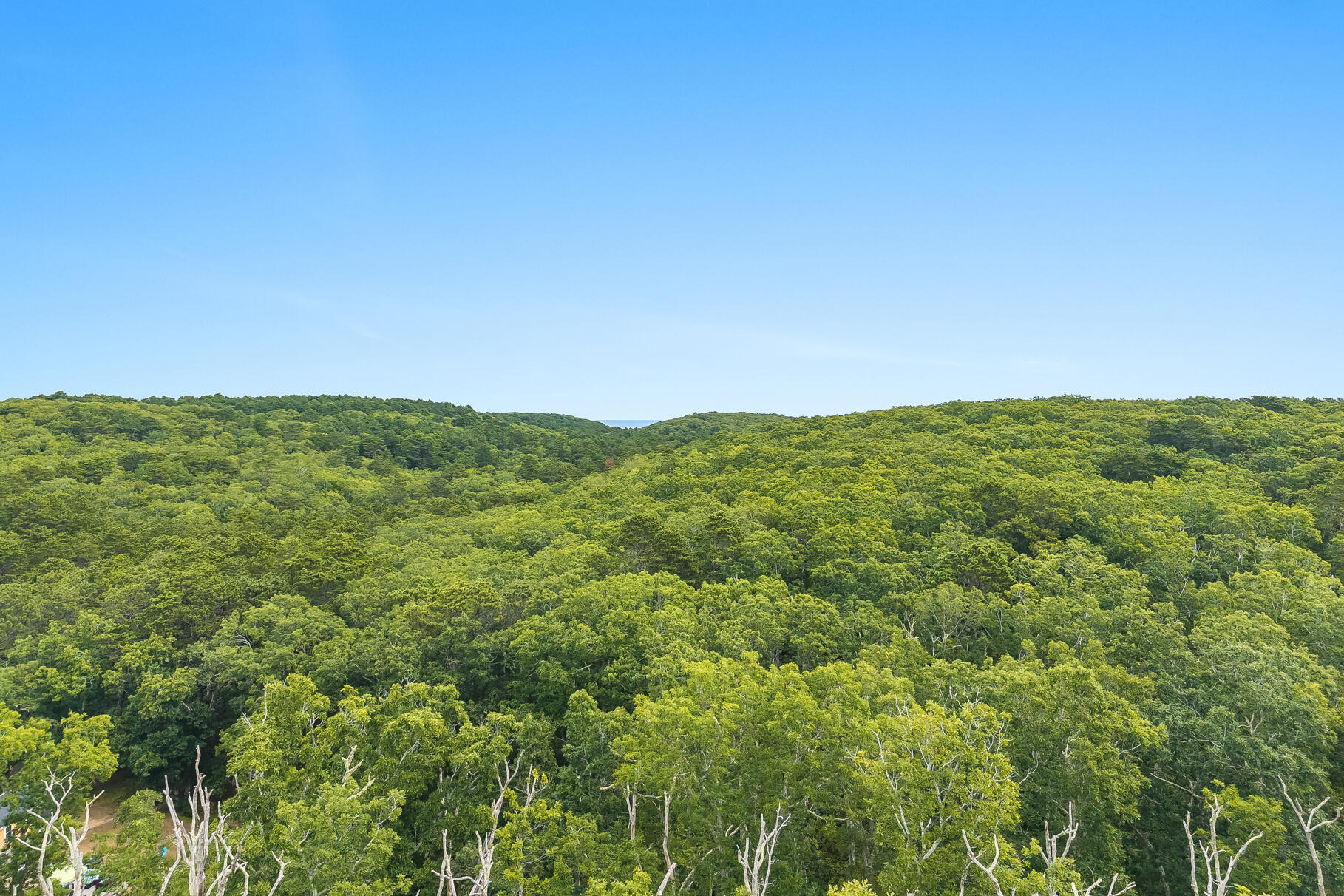 35a Higgins Hollow Road Property Photo 9