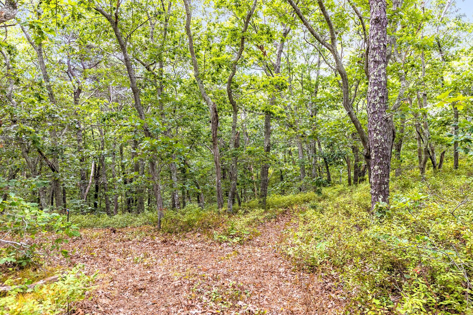 35a Higgins Hollow Road Property Photo 13