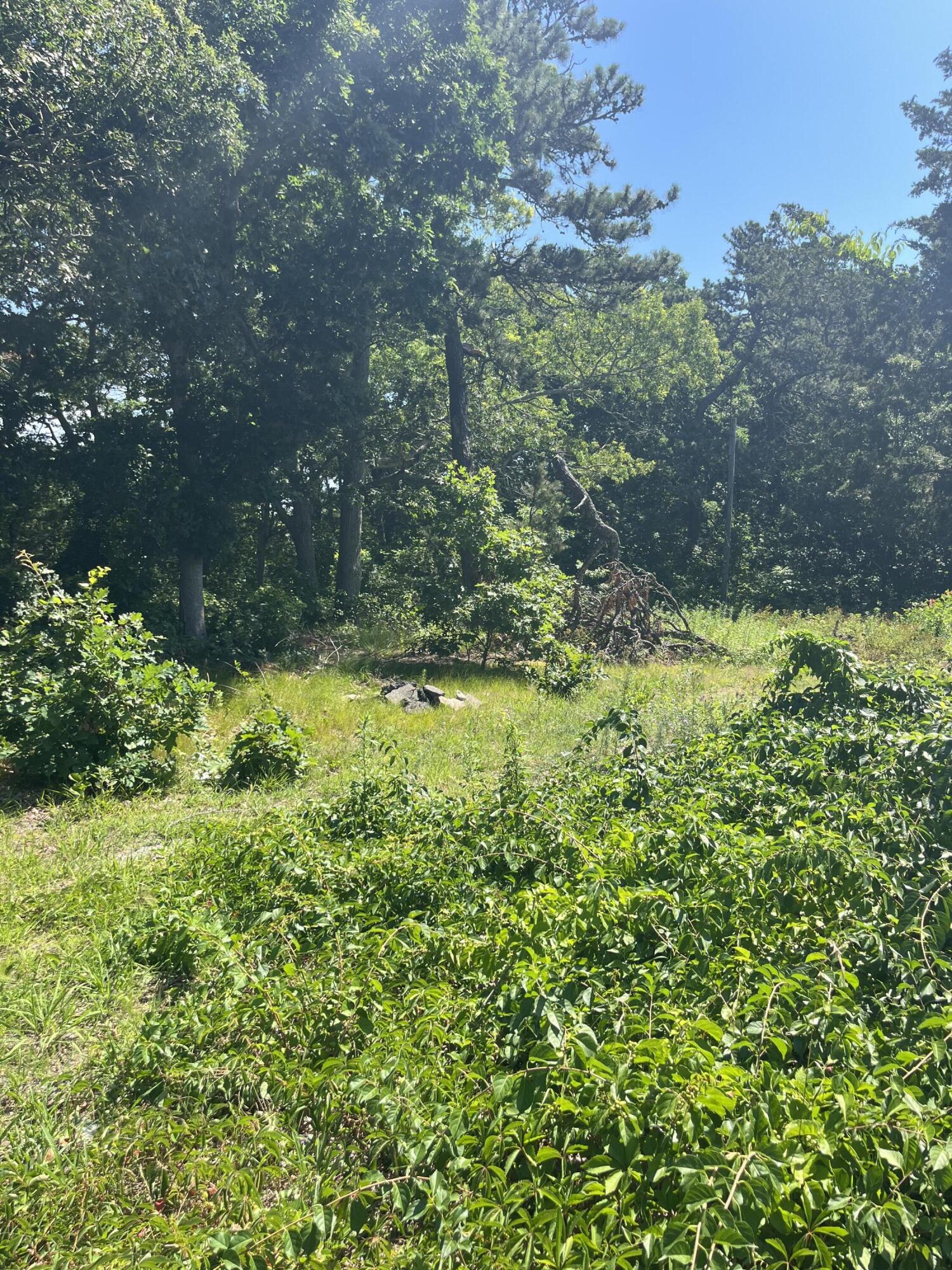 74 Long Pond Drive Property Photo 9
