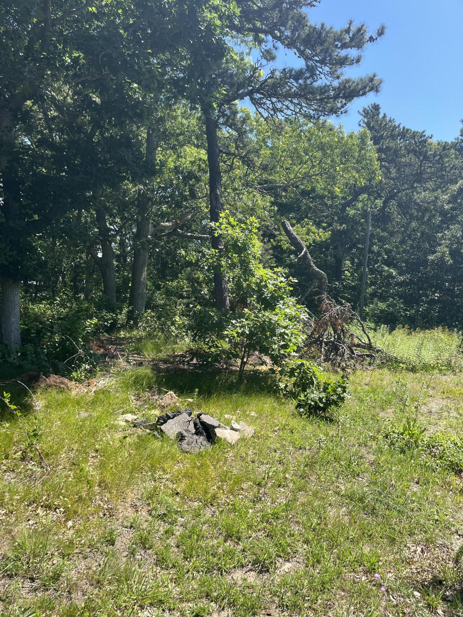 74 Long Pond Drive Property Photo 10