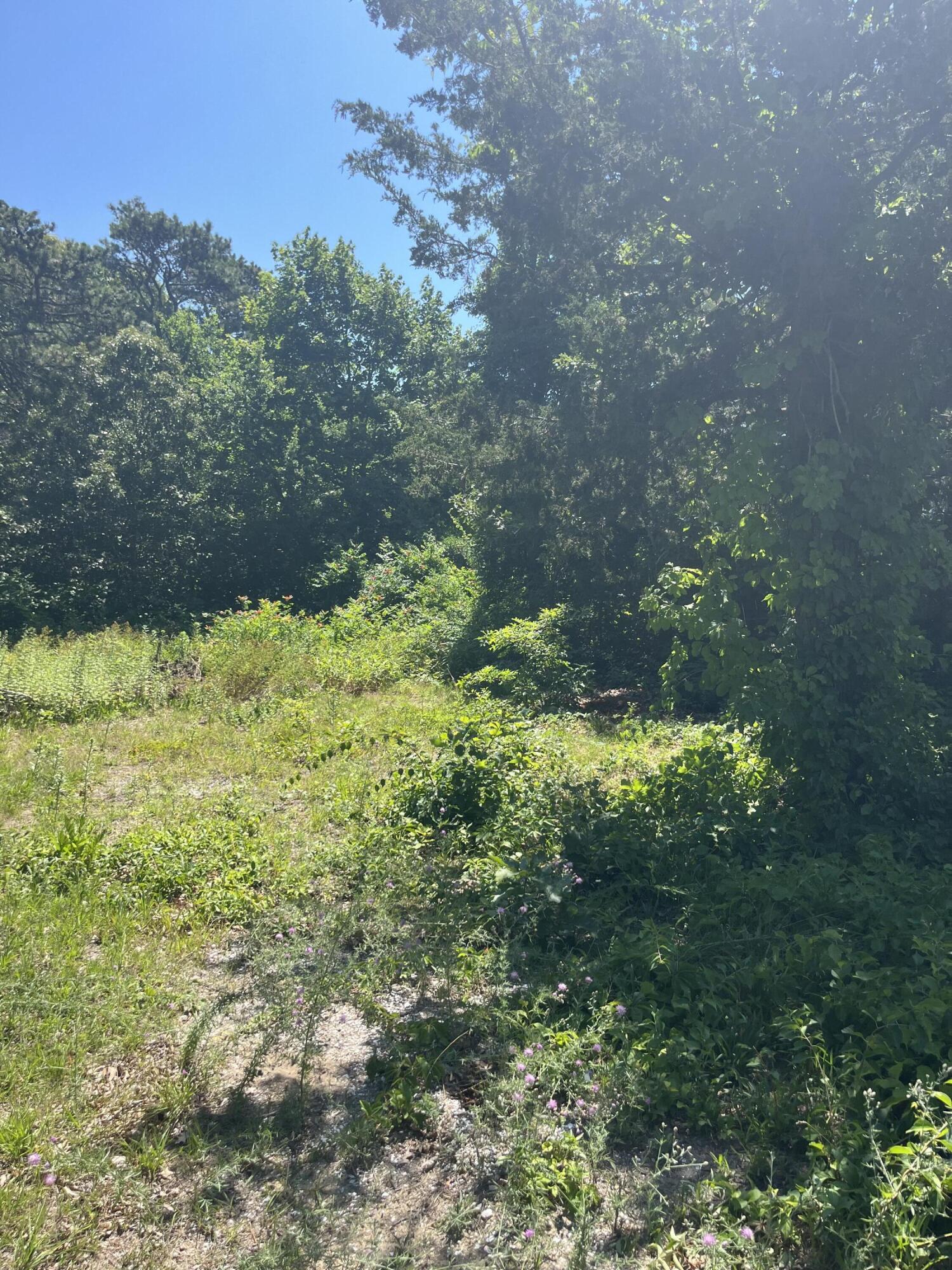 74 Long Pond Drive Property Photo 11