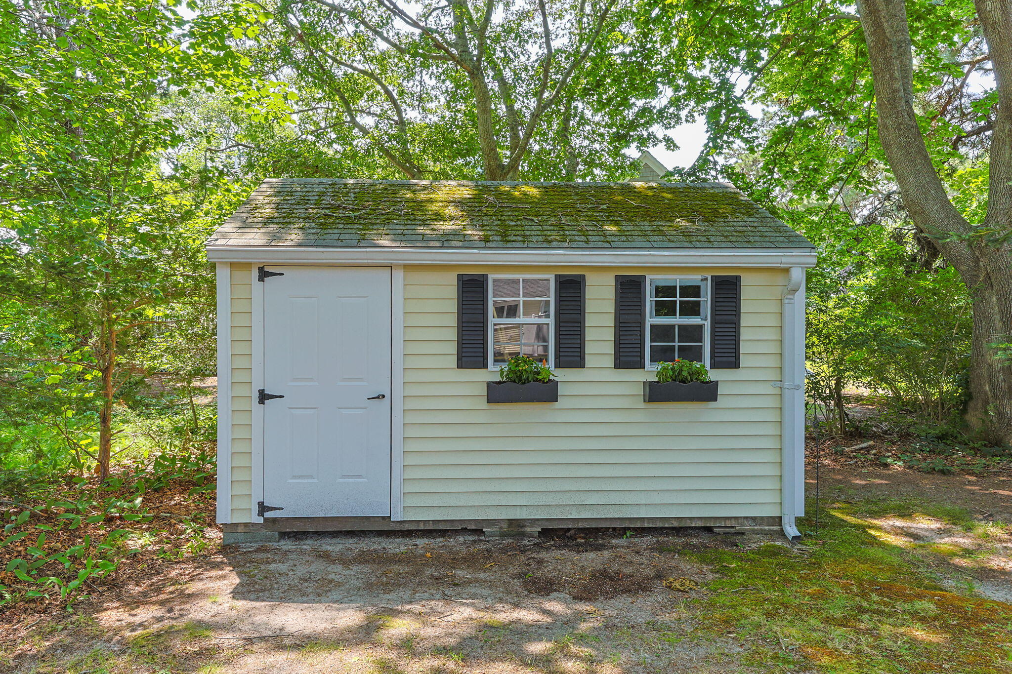 47 Acres Avenue Property Photo 22