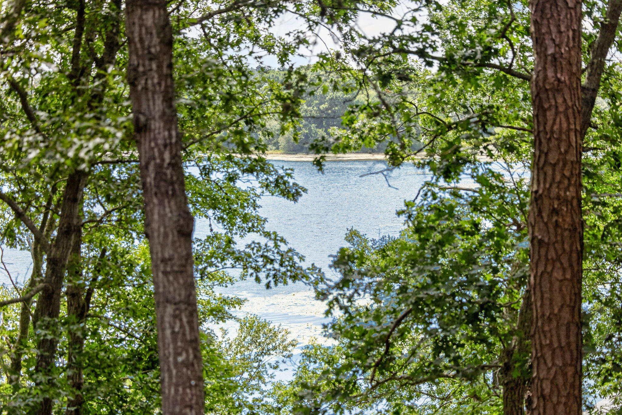 769 River Road Property Photo 44