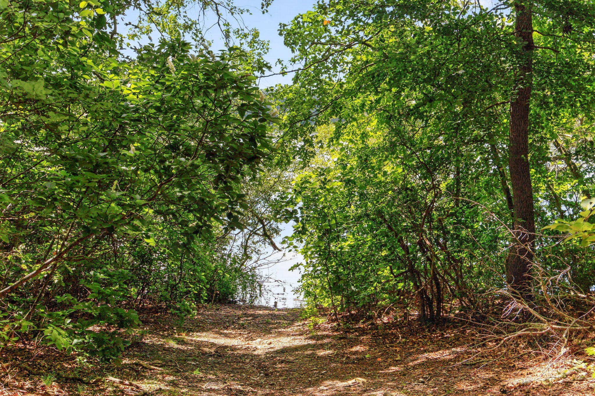 769 River Road Property Photo 46