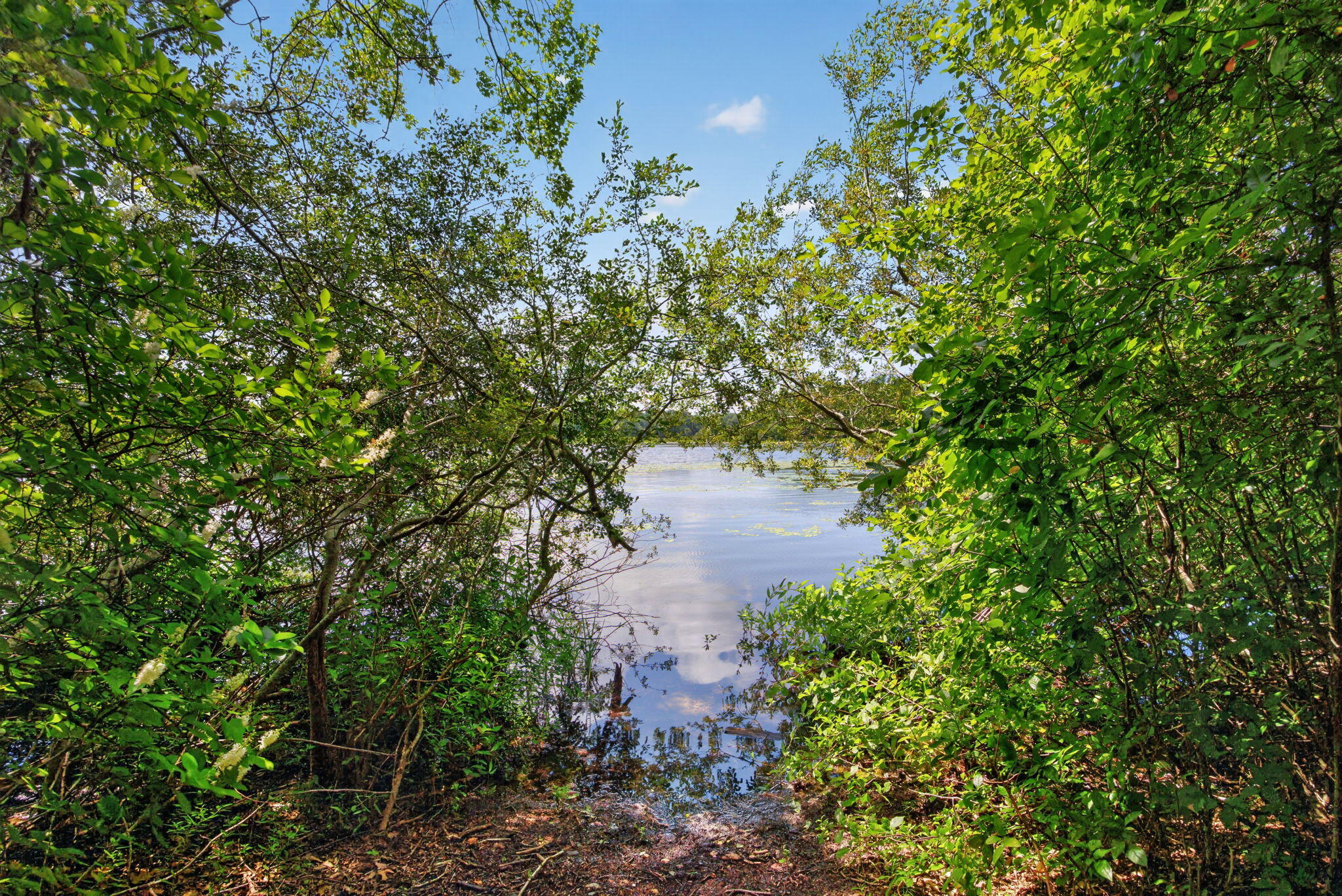 769 River Road Property Photo 47