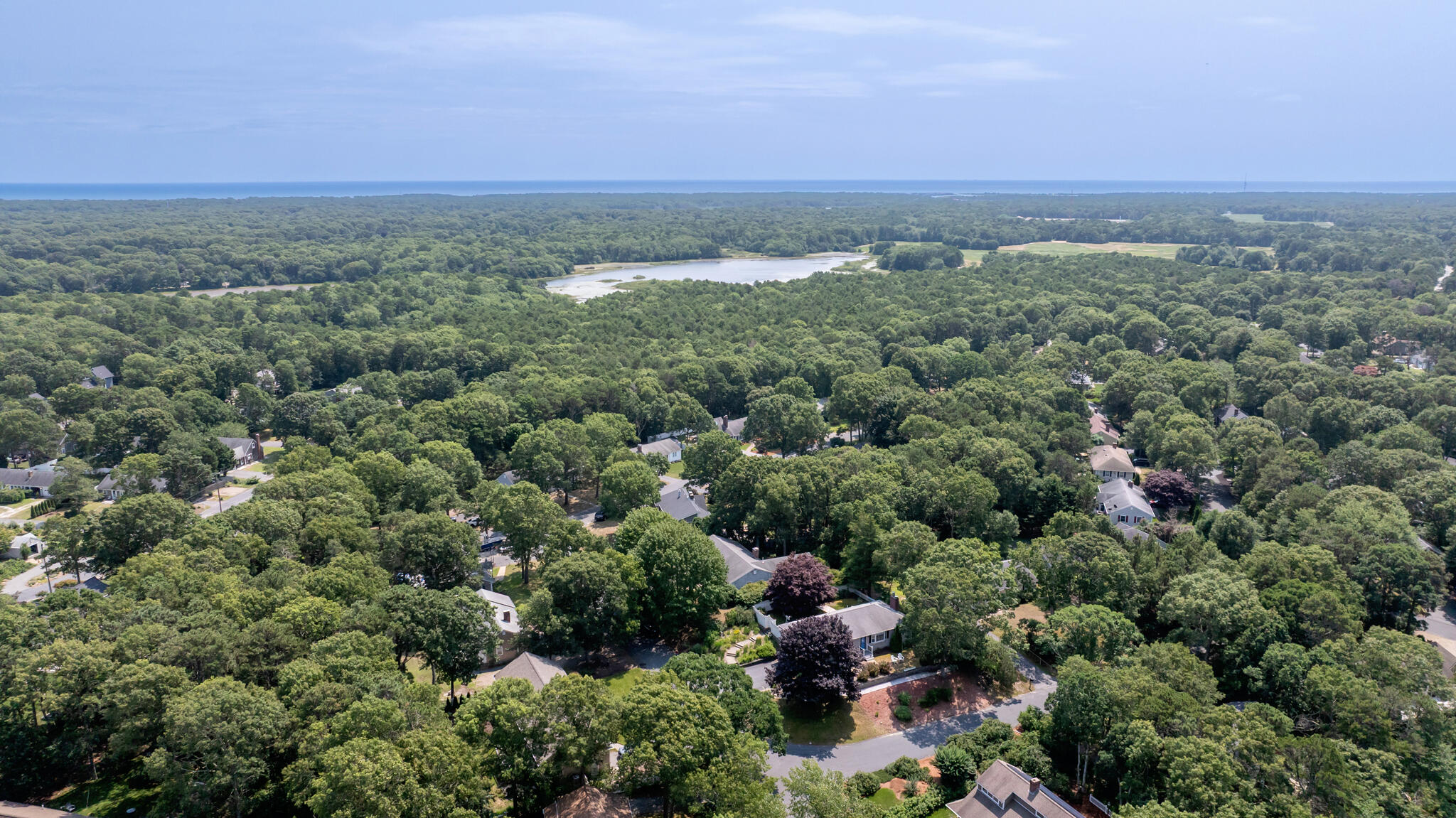 3 Mcnamara Avenue Property Photo 48