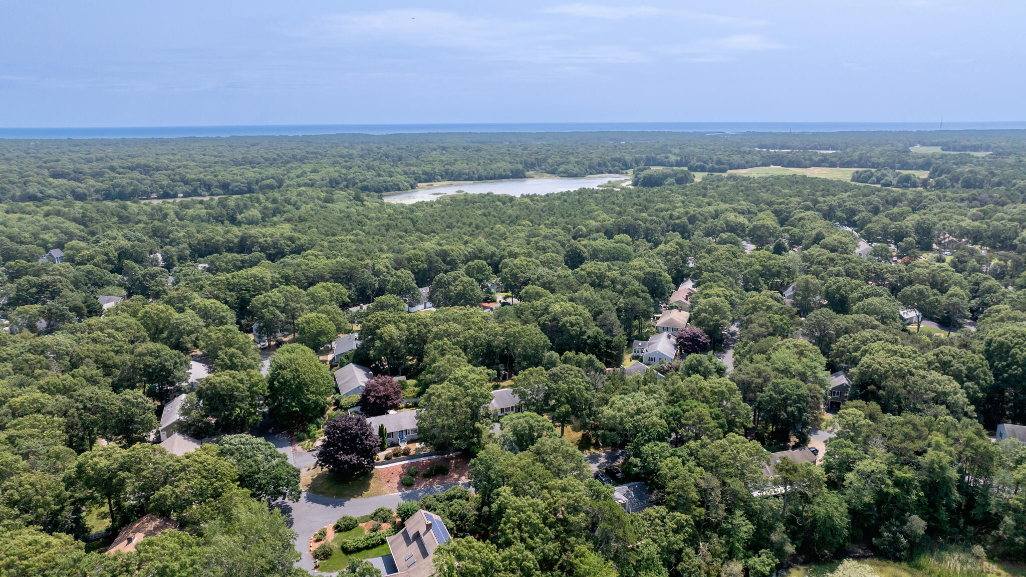 3 Mcnamara Avenue Property Photo 49
