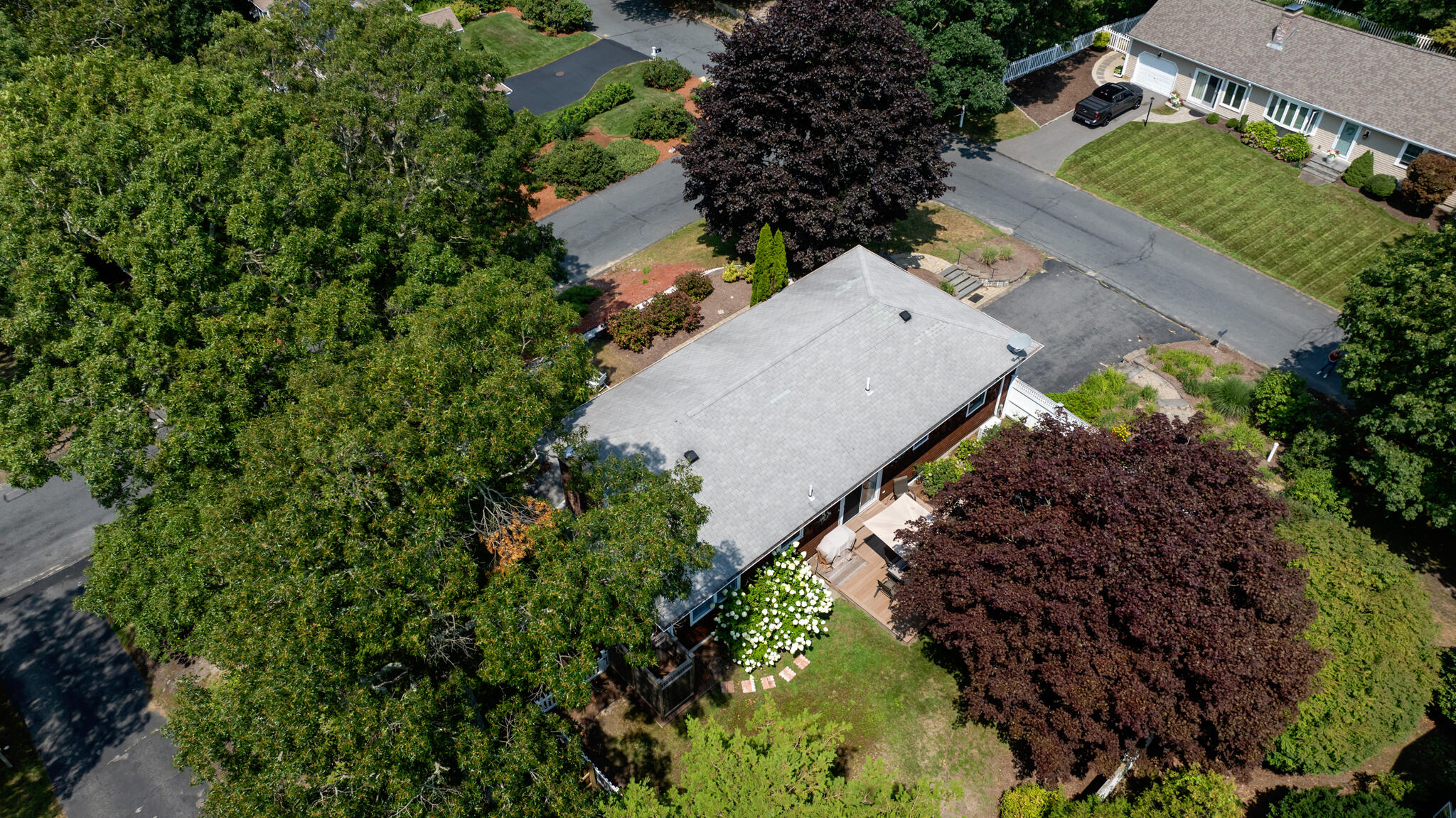 3 Mcnamara Avenue Property Photo 53