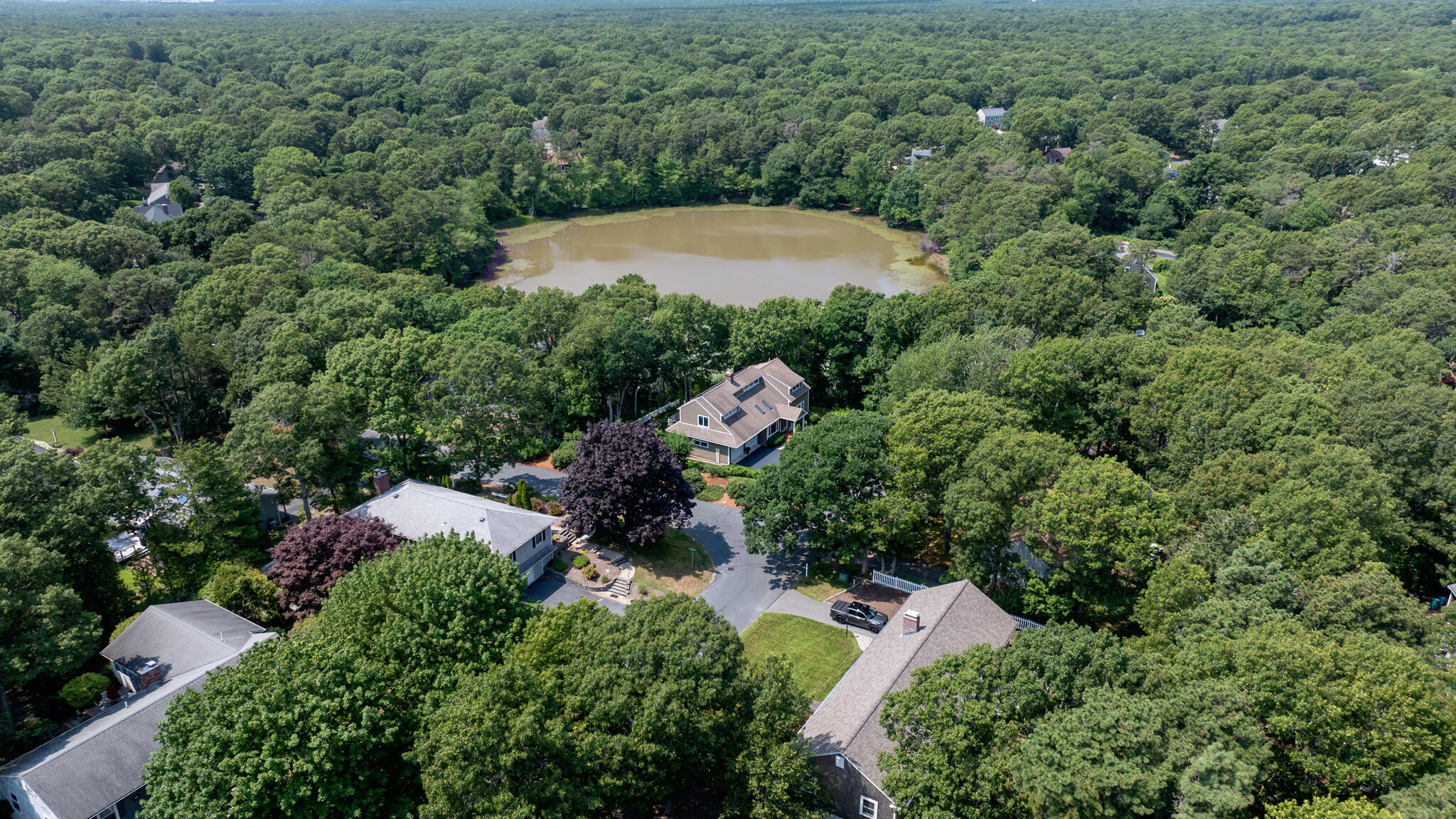 3 Mcnamara Avenue Property Photo 54