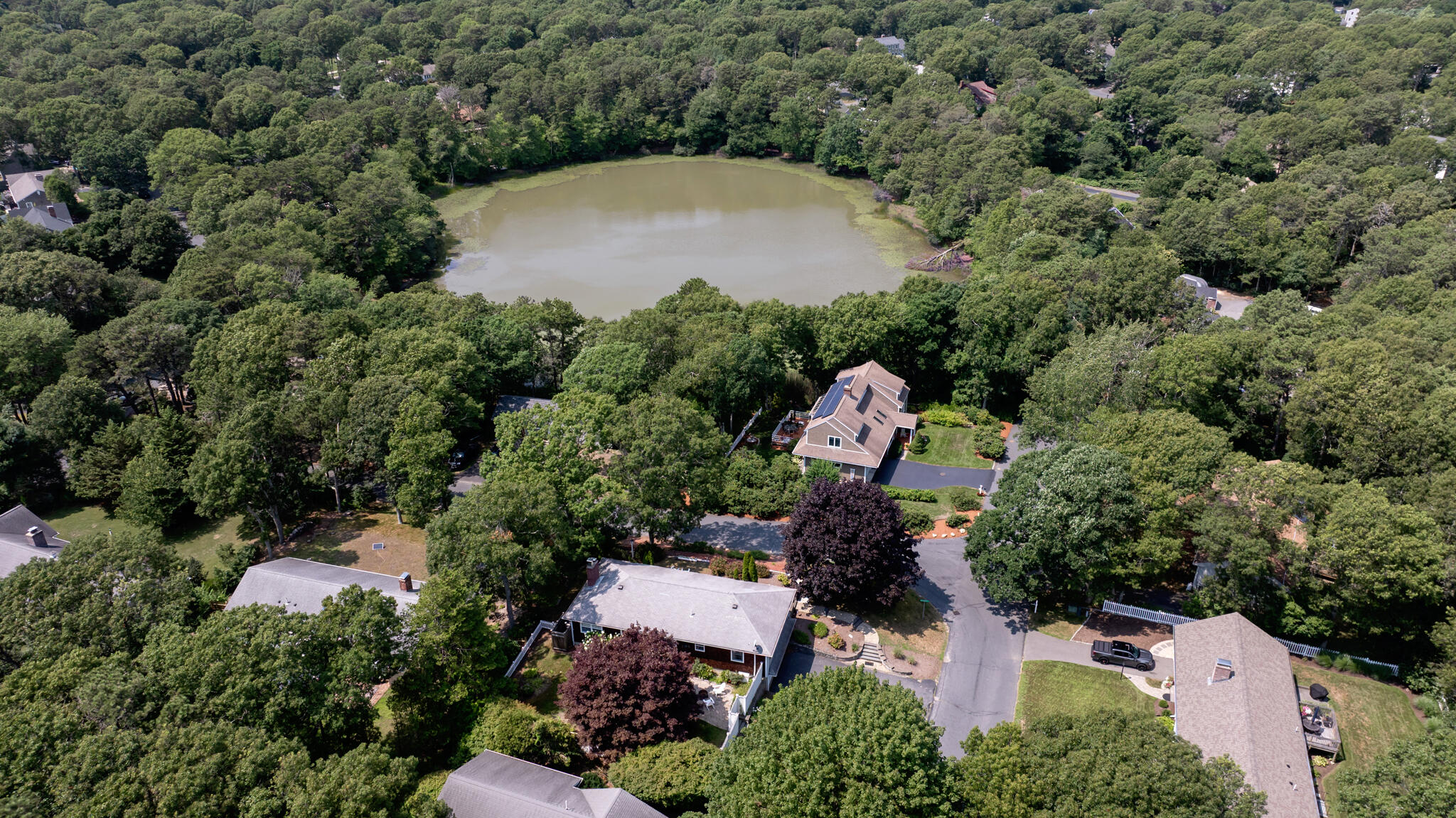 3 Mcnamara Avenue Property Photo 55