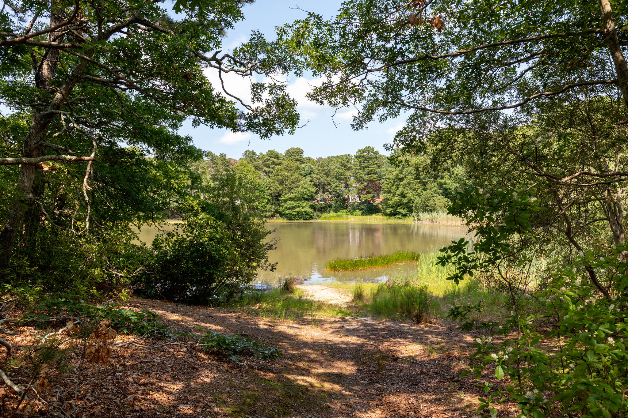 3 Mcnamara Avenue Property Photo 58