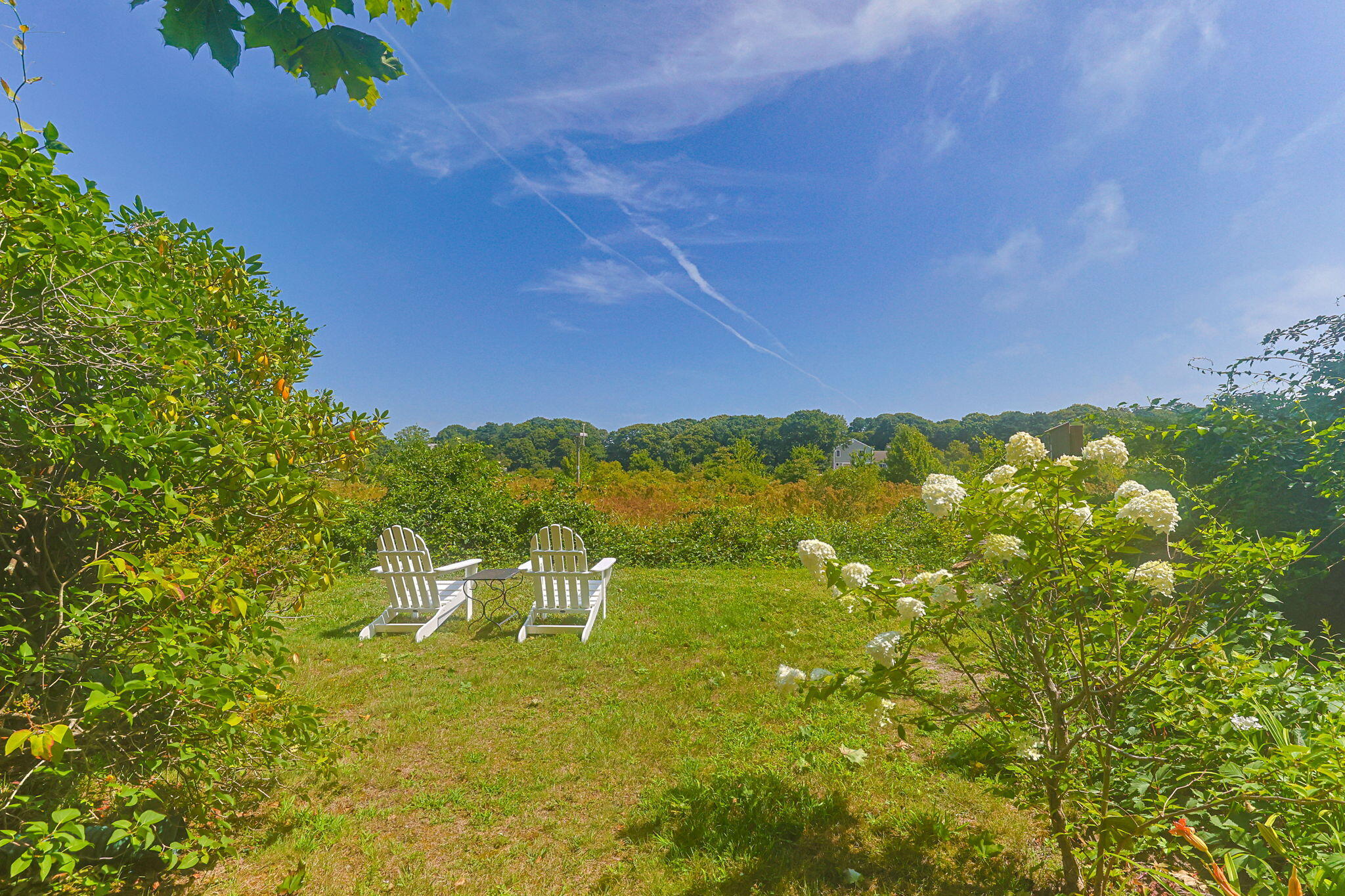 141 Bank Street Property Photo 47