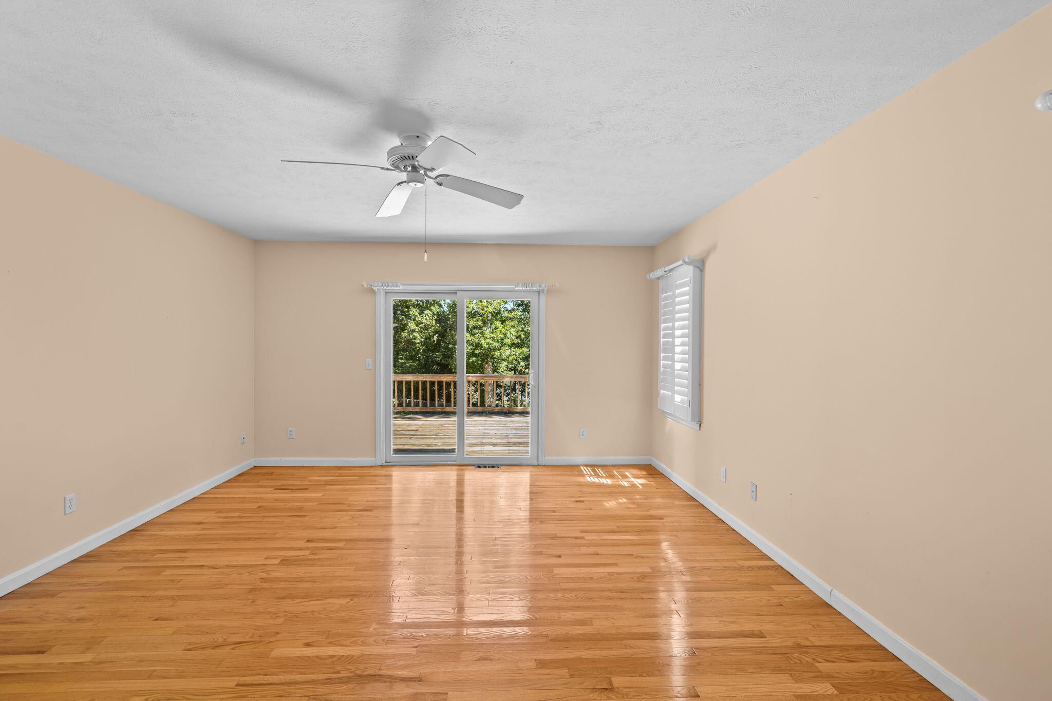 42 Mattapan Street Property Photo 24