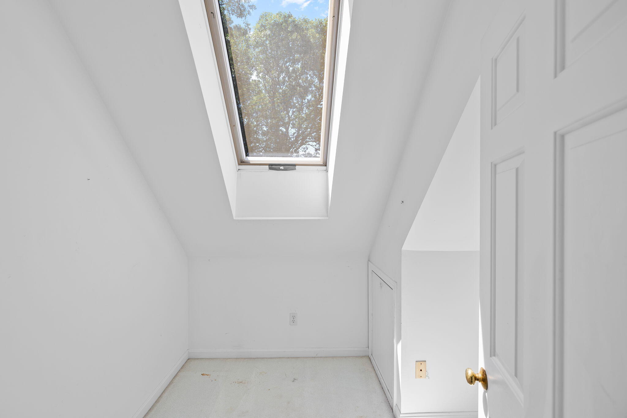 42 Mattapan Street Property Photo 33