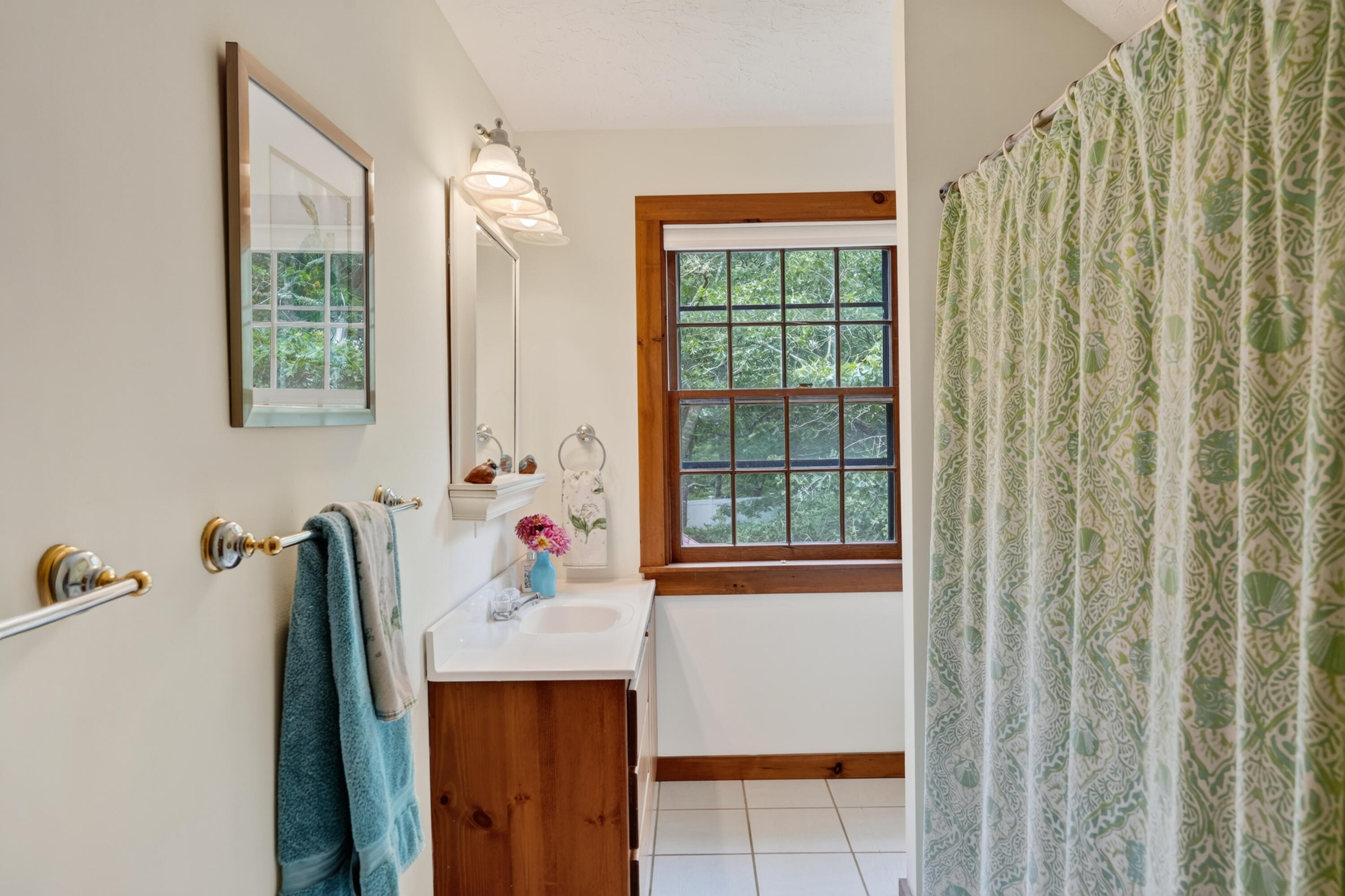 9 Codman Spring Road Property Photo 22