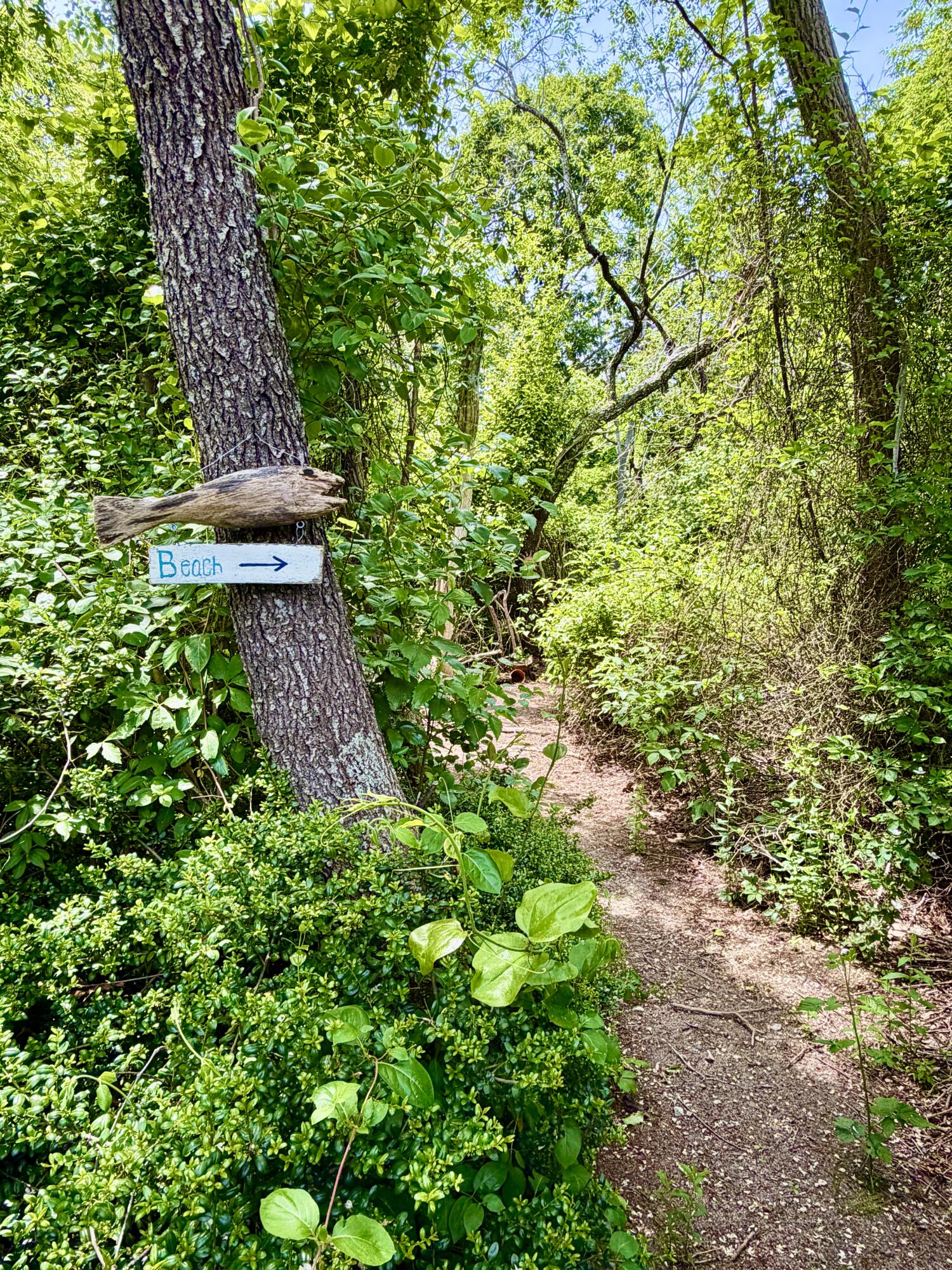 65 Pilgrims Path Property Photo 46