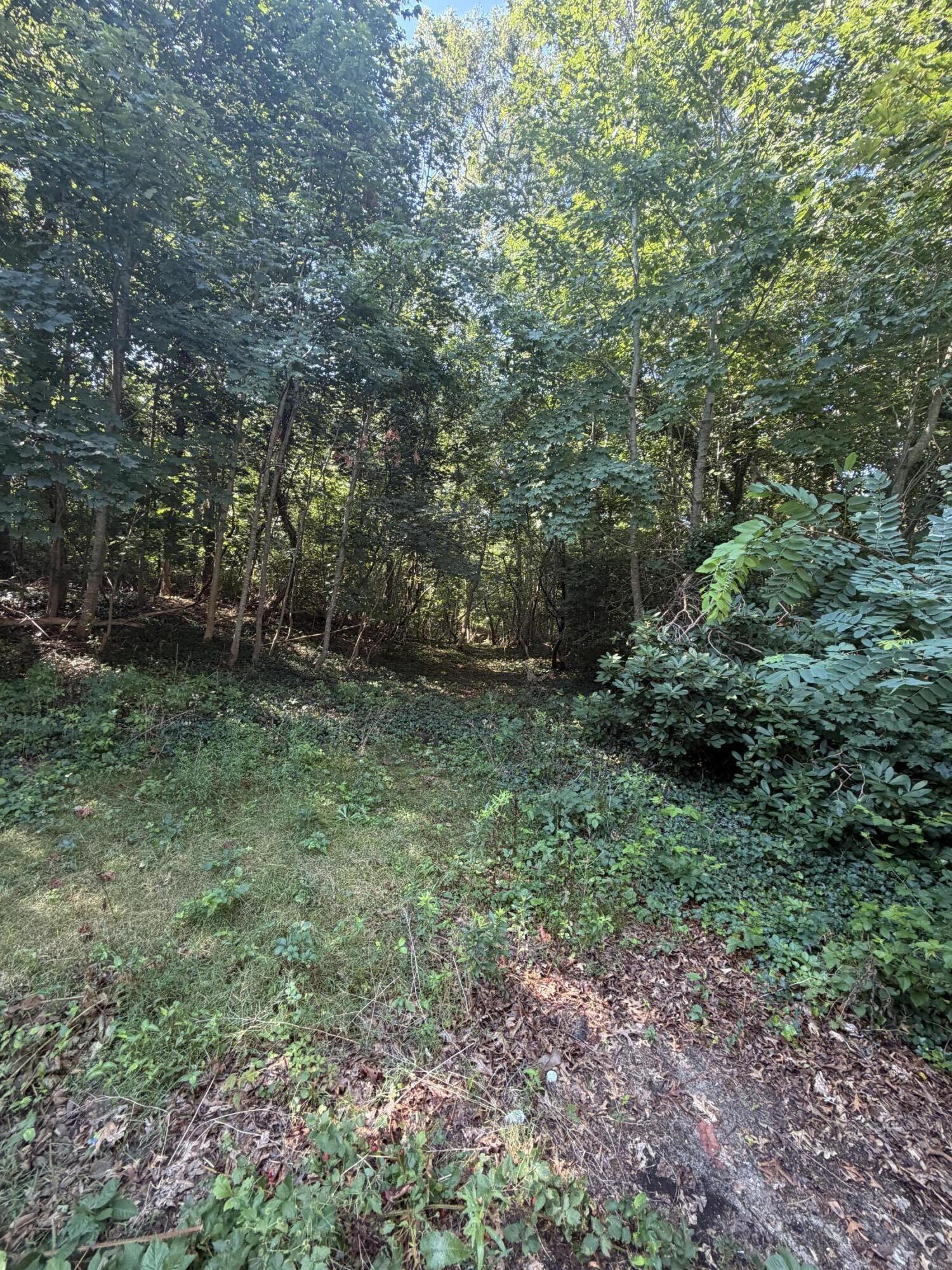 319 Massachusetts 6a Property Photo 7