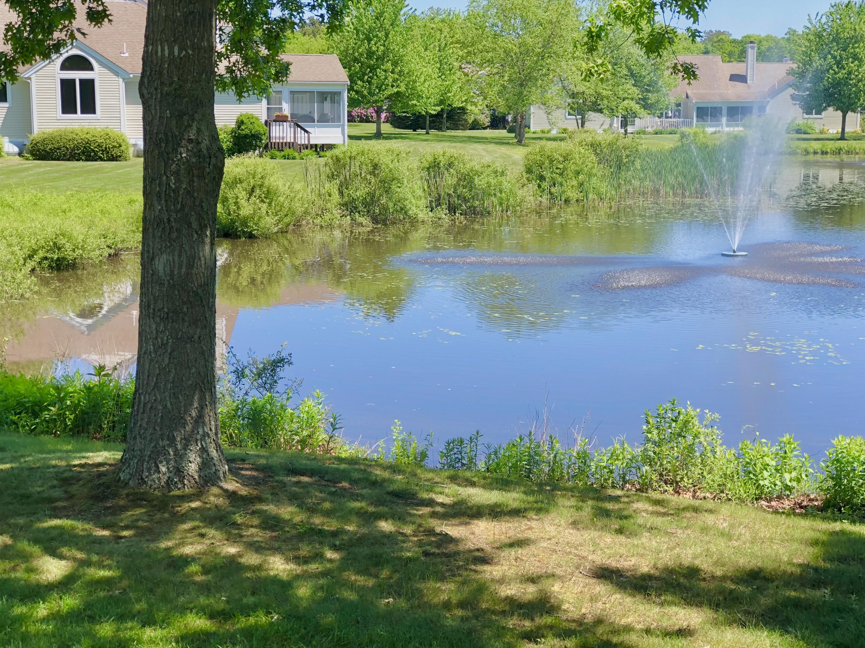 7 Ironwood Path Property Photo 29