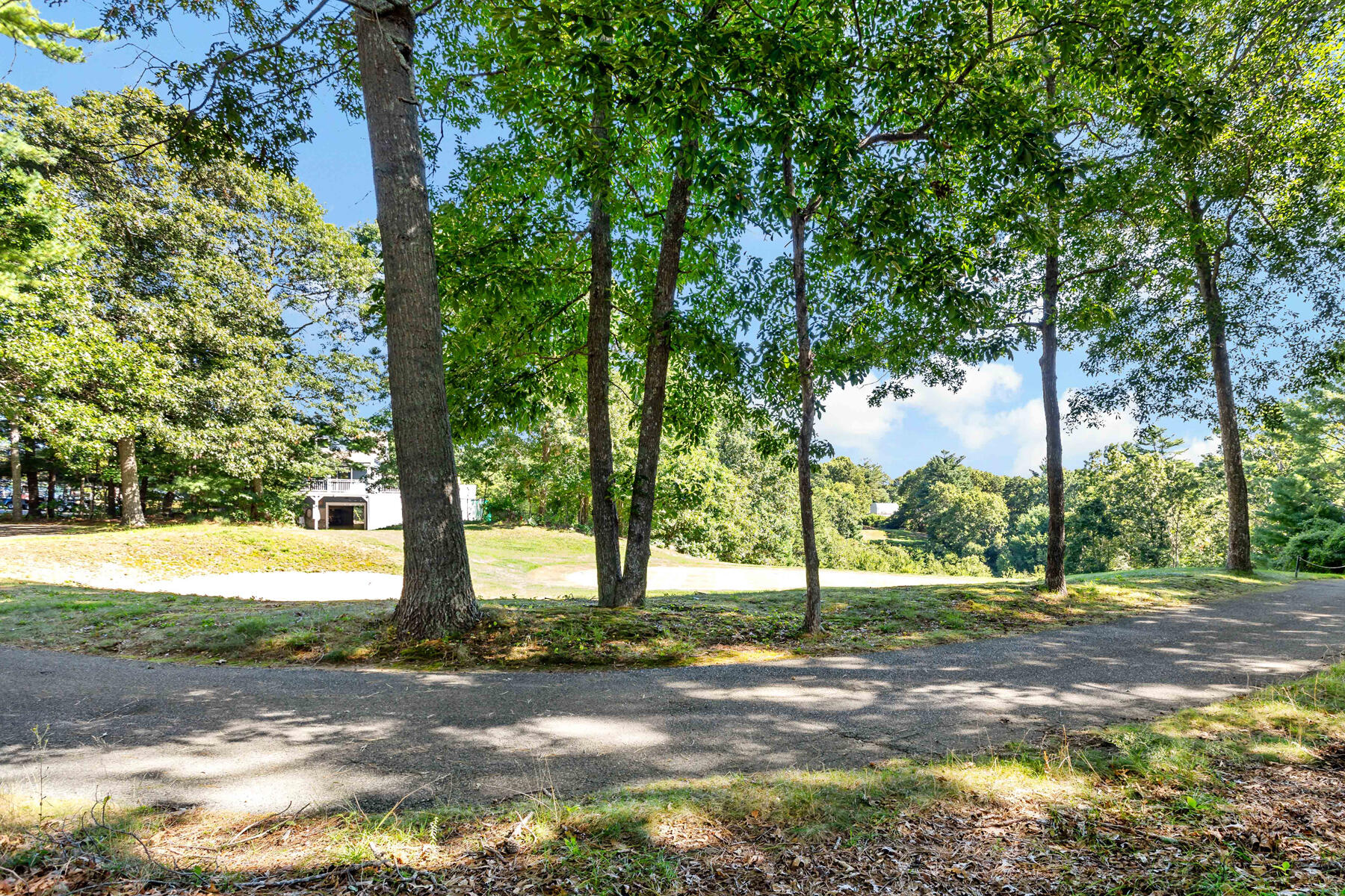 125 Leisure Green Drive N Property Photo 24