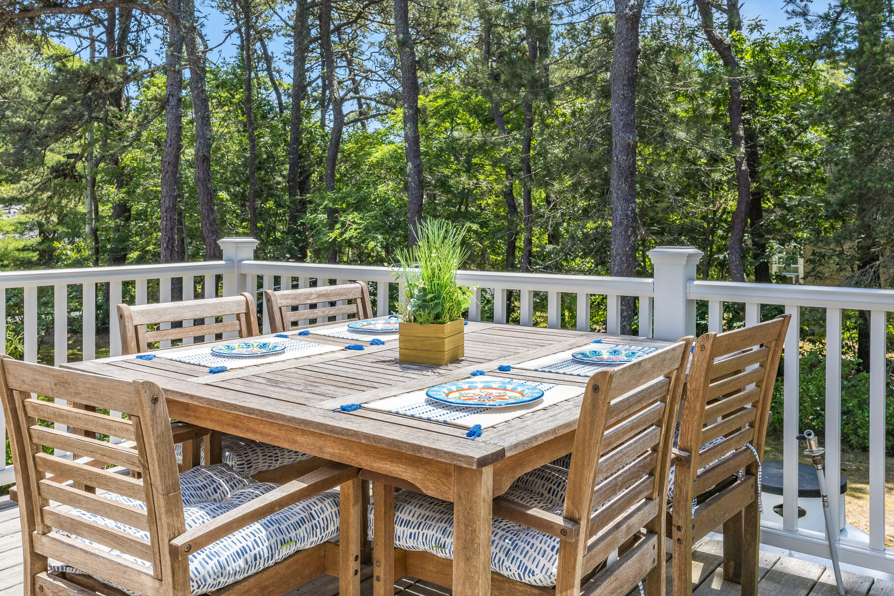 44 Squirrel Run Property Photo 58
