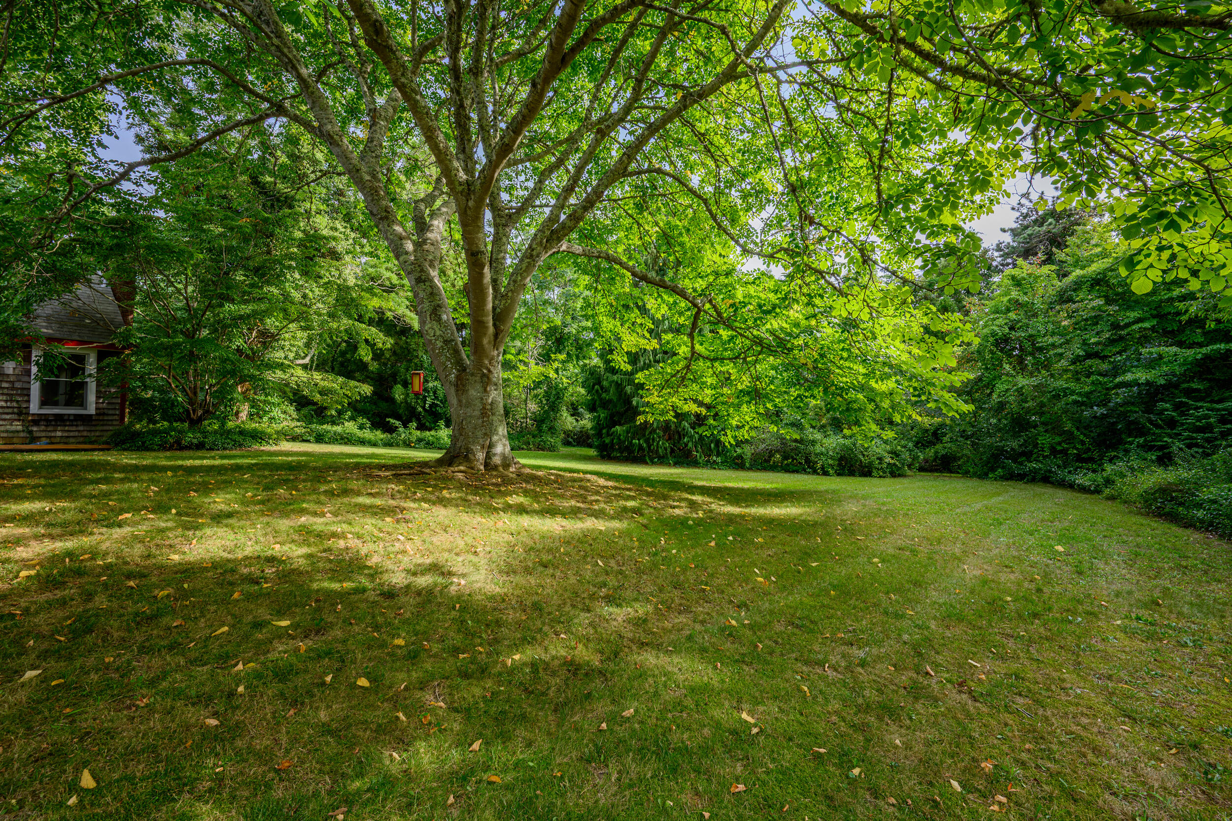 204 Waquoit Highway Property Photo 24