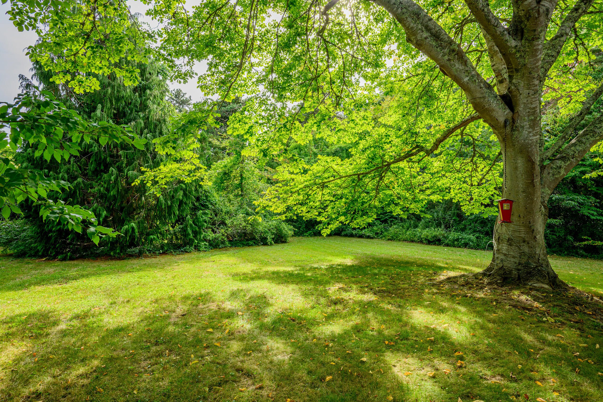 204 Waquoit Highway Property Photo 27