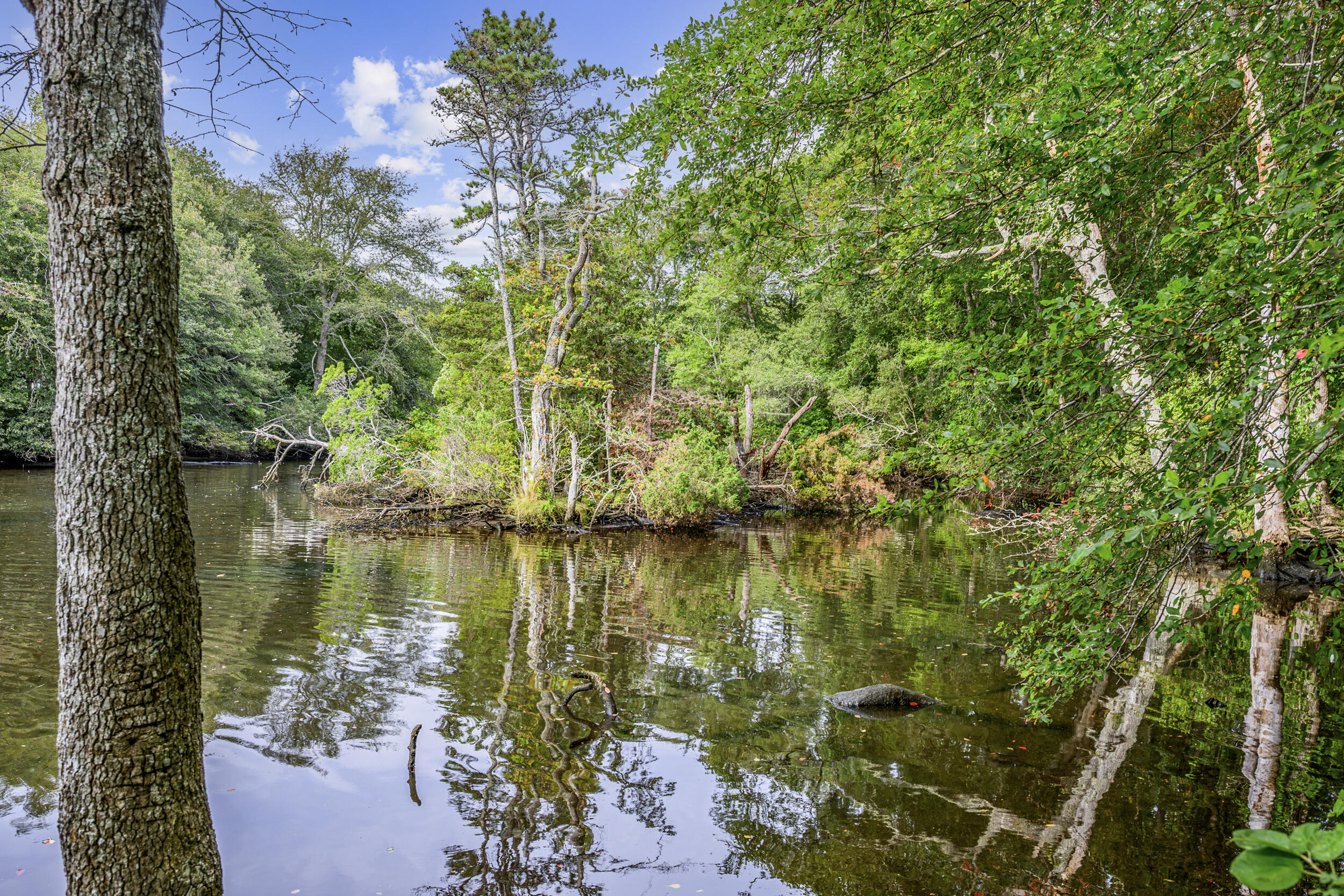 204 Waquoit Highway Property Photo 33