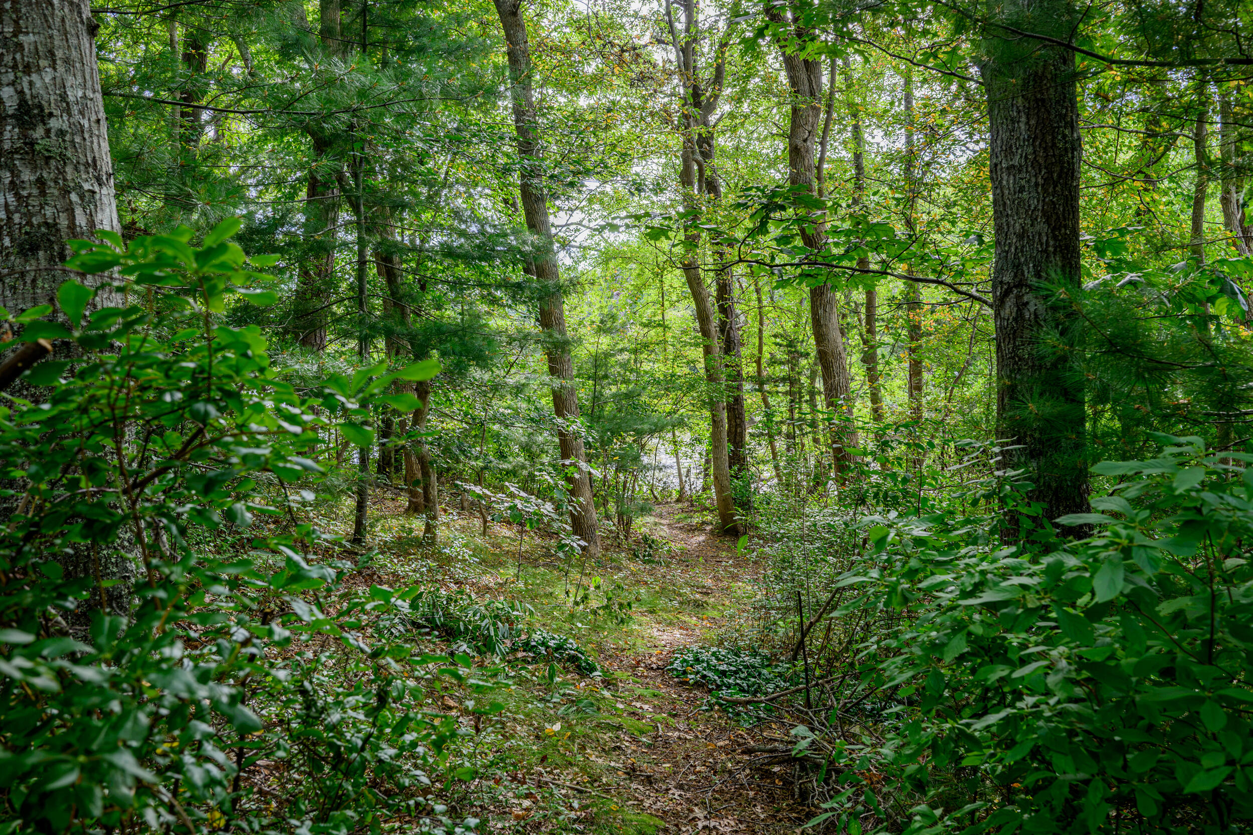204 Waquoit Highway Property Photo 34