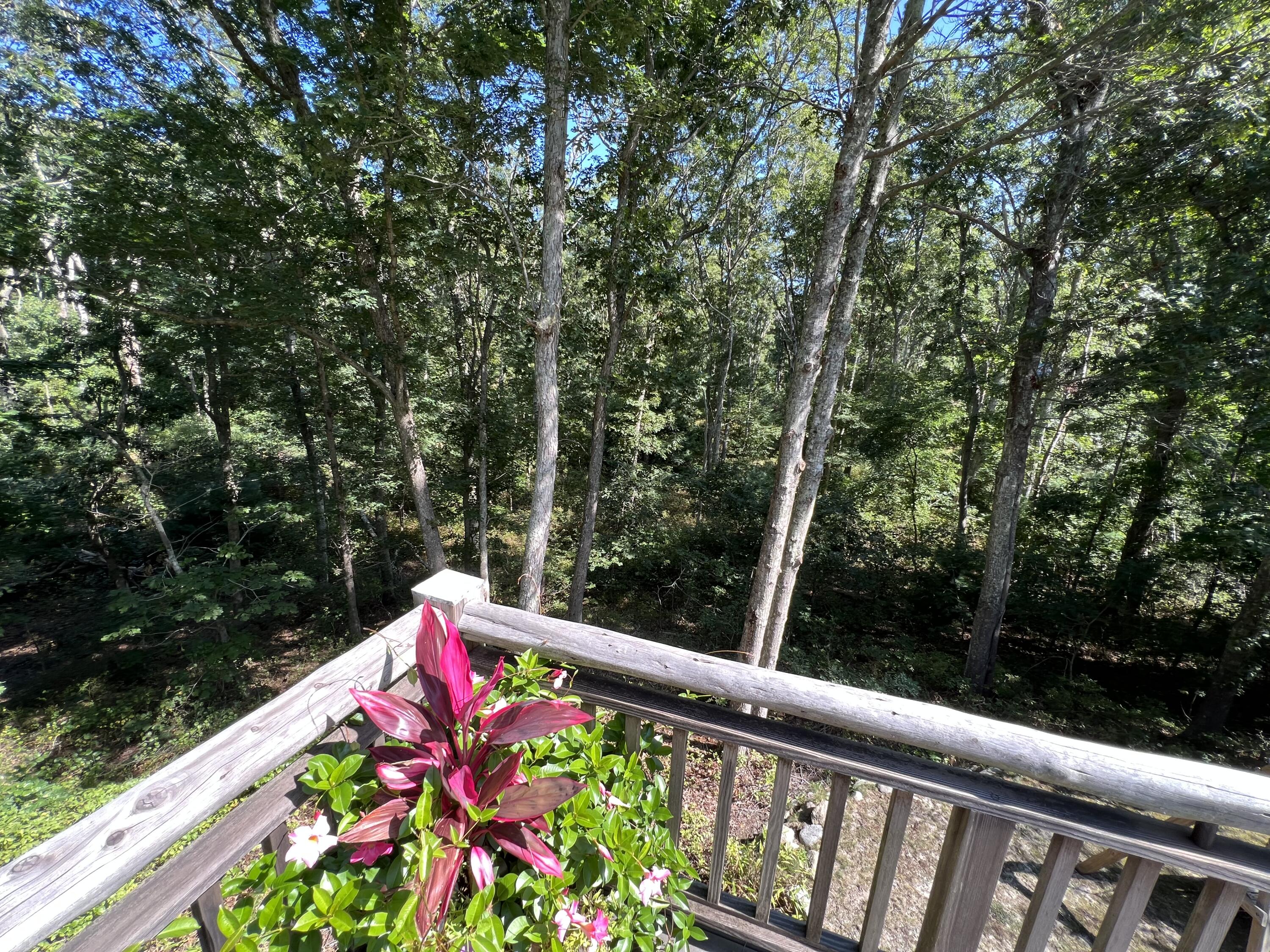 18 Sylvan Avenue Property Photo 28