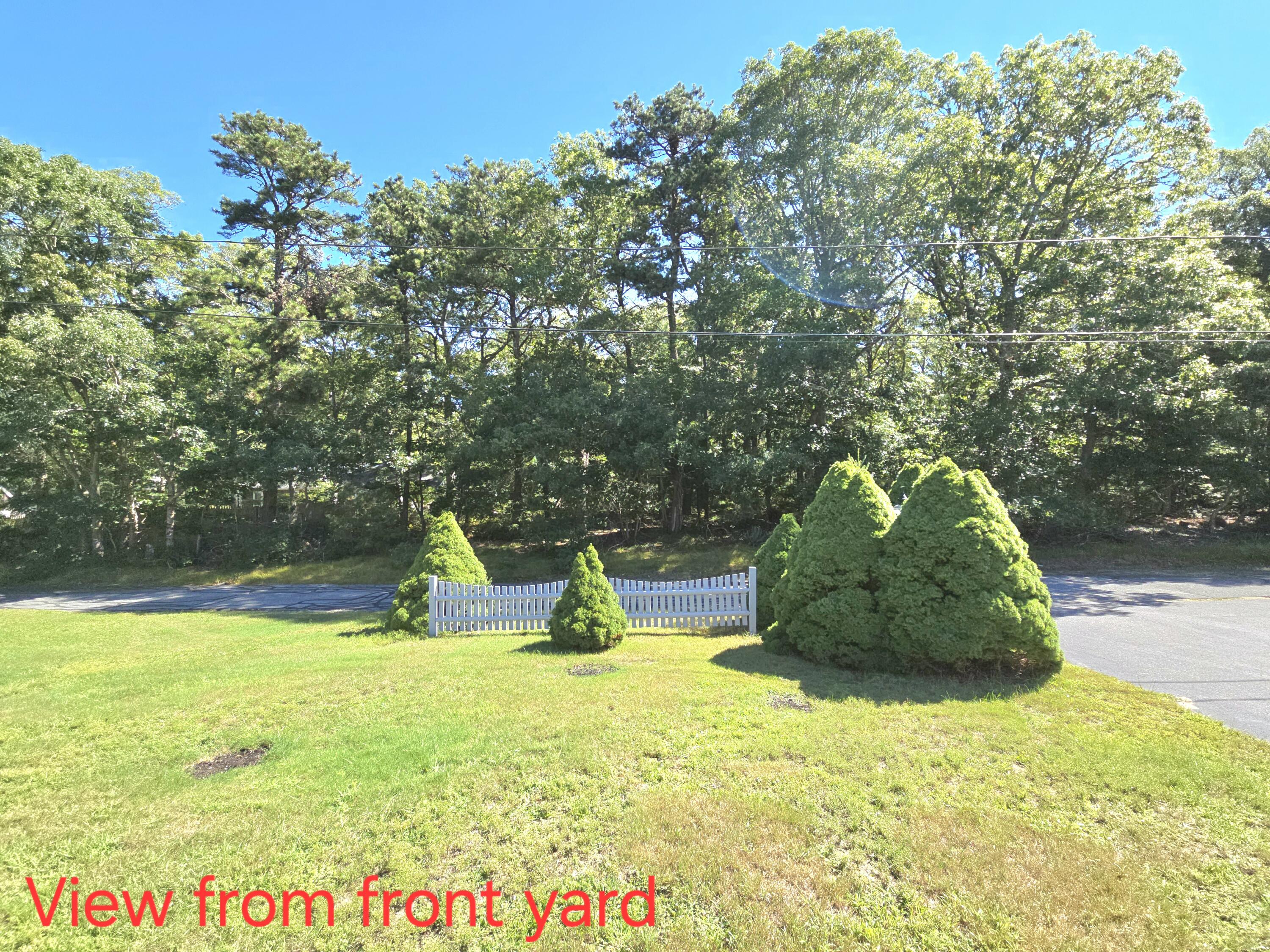 1b Walnut Street Property Photo 24