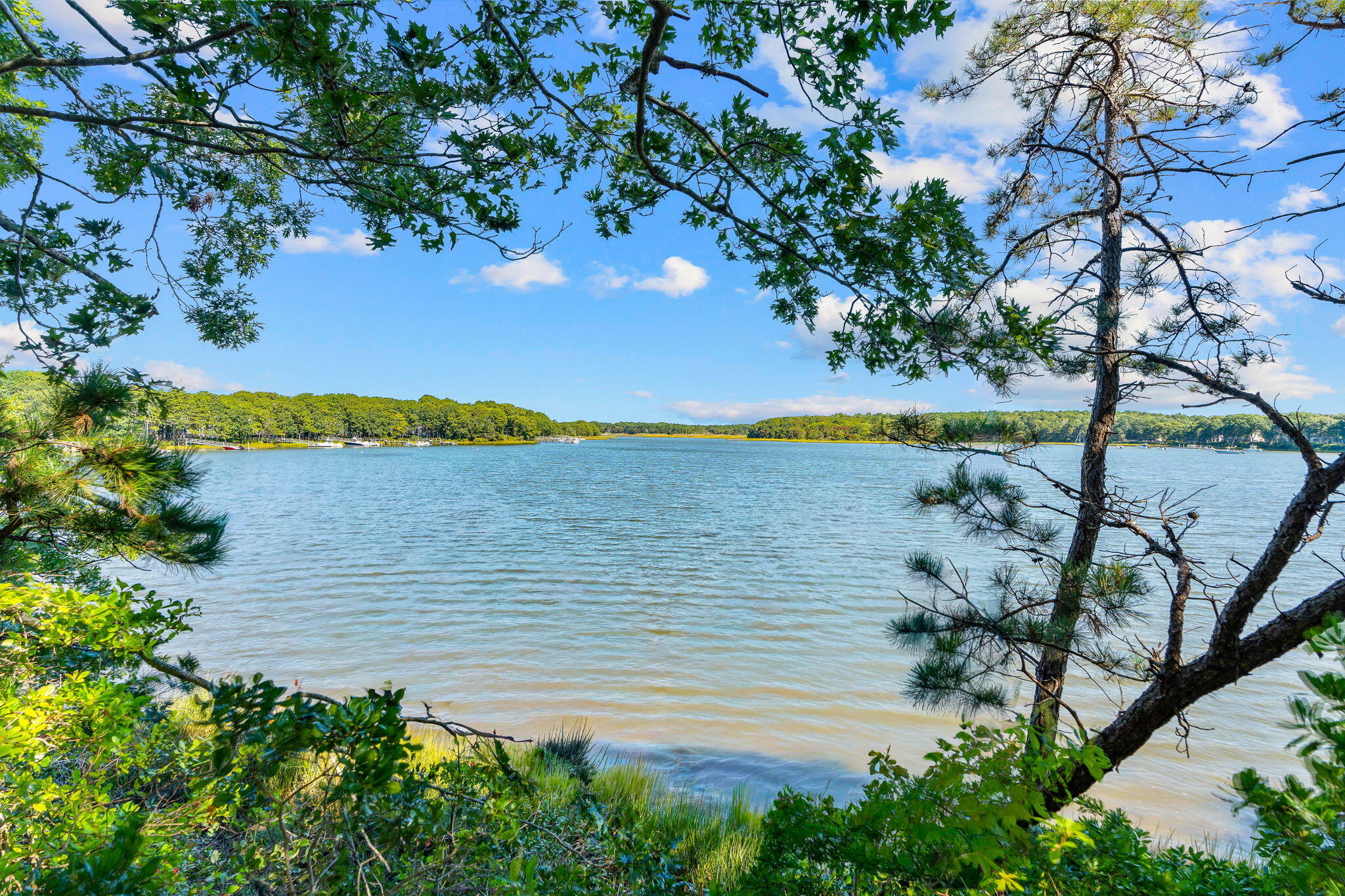 71 Tide Run Property Photo 5