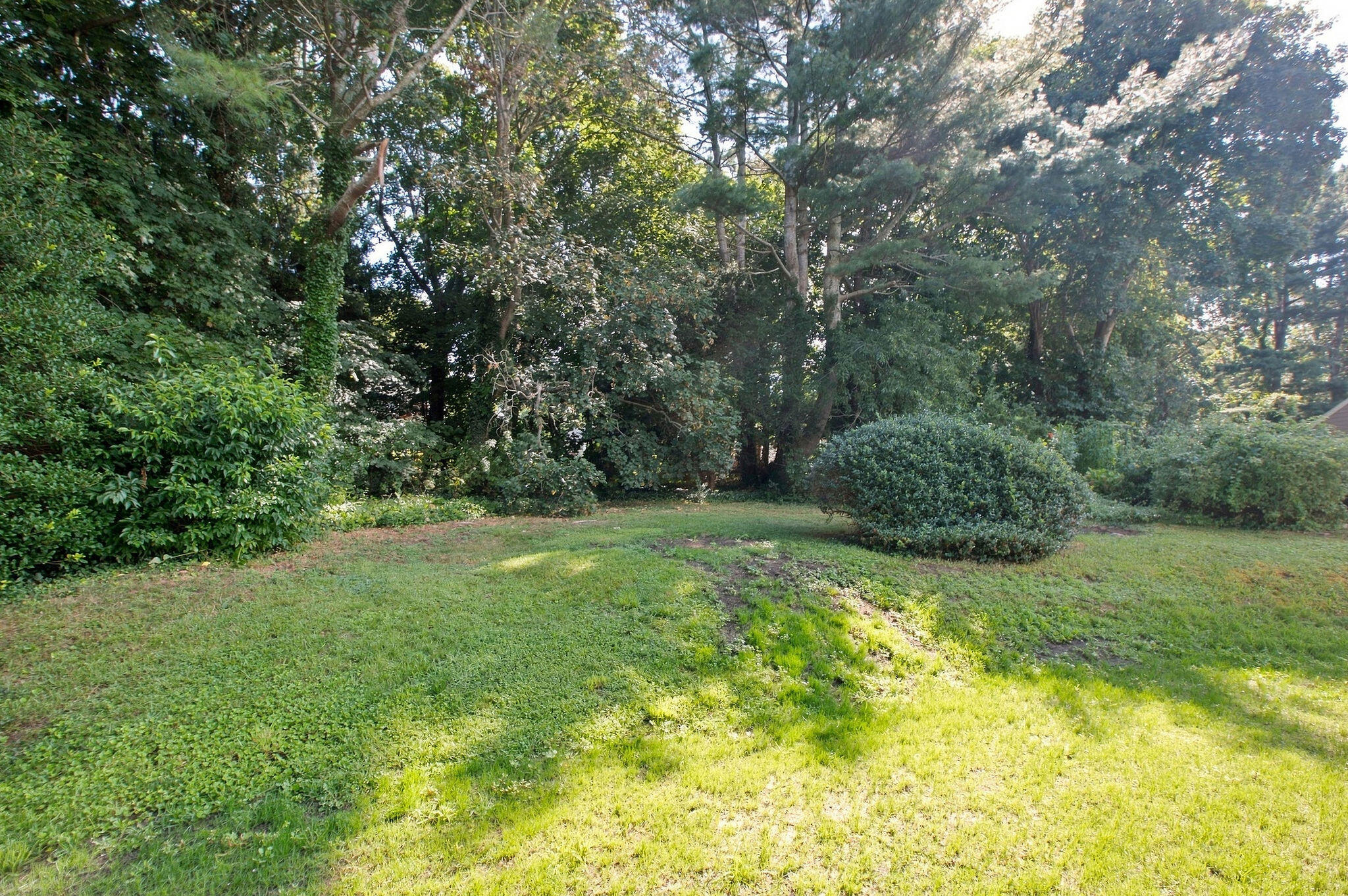 49 Cameron Road Property Photo 27