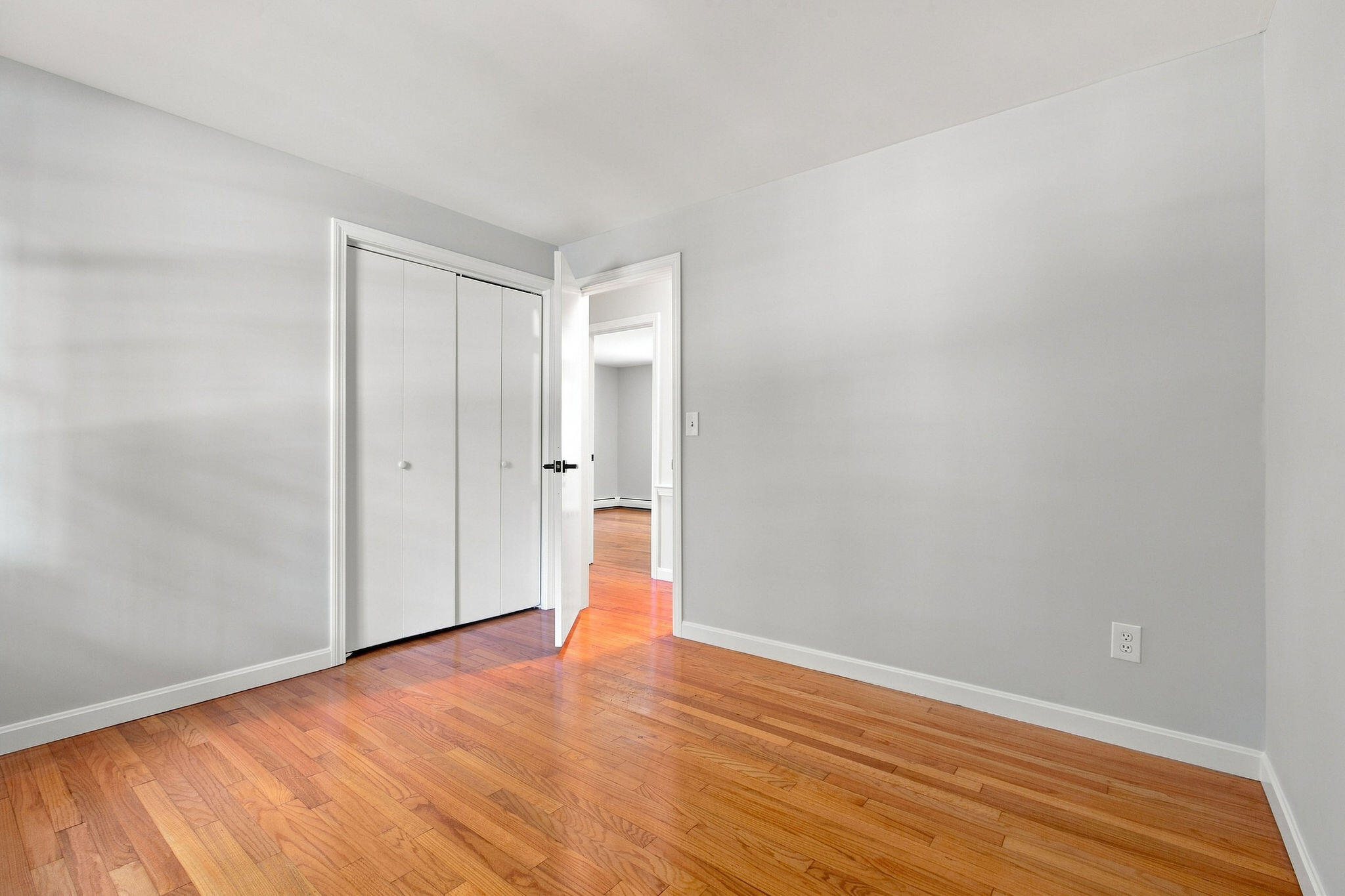 49 Cameron Road Property Photo 51