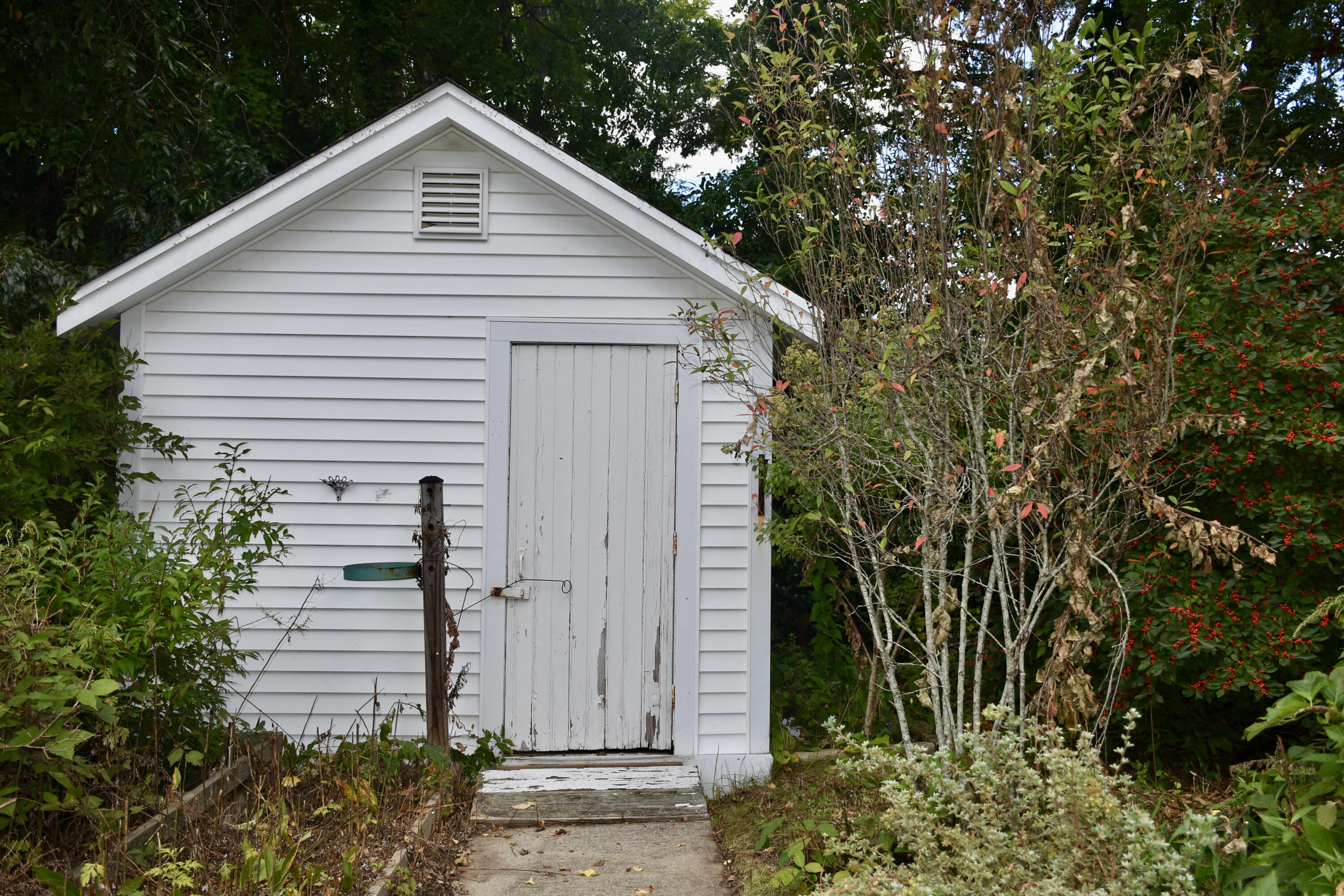 12 Lake Road E Property Photo 18