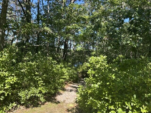 222 Buck Island-unit 54 Road Property Photo 31