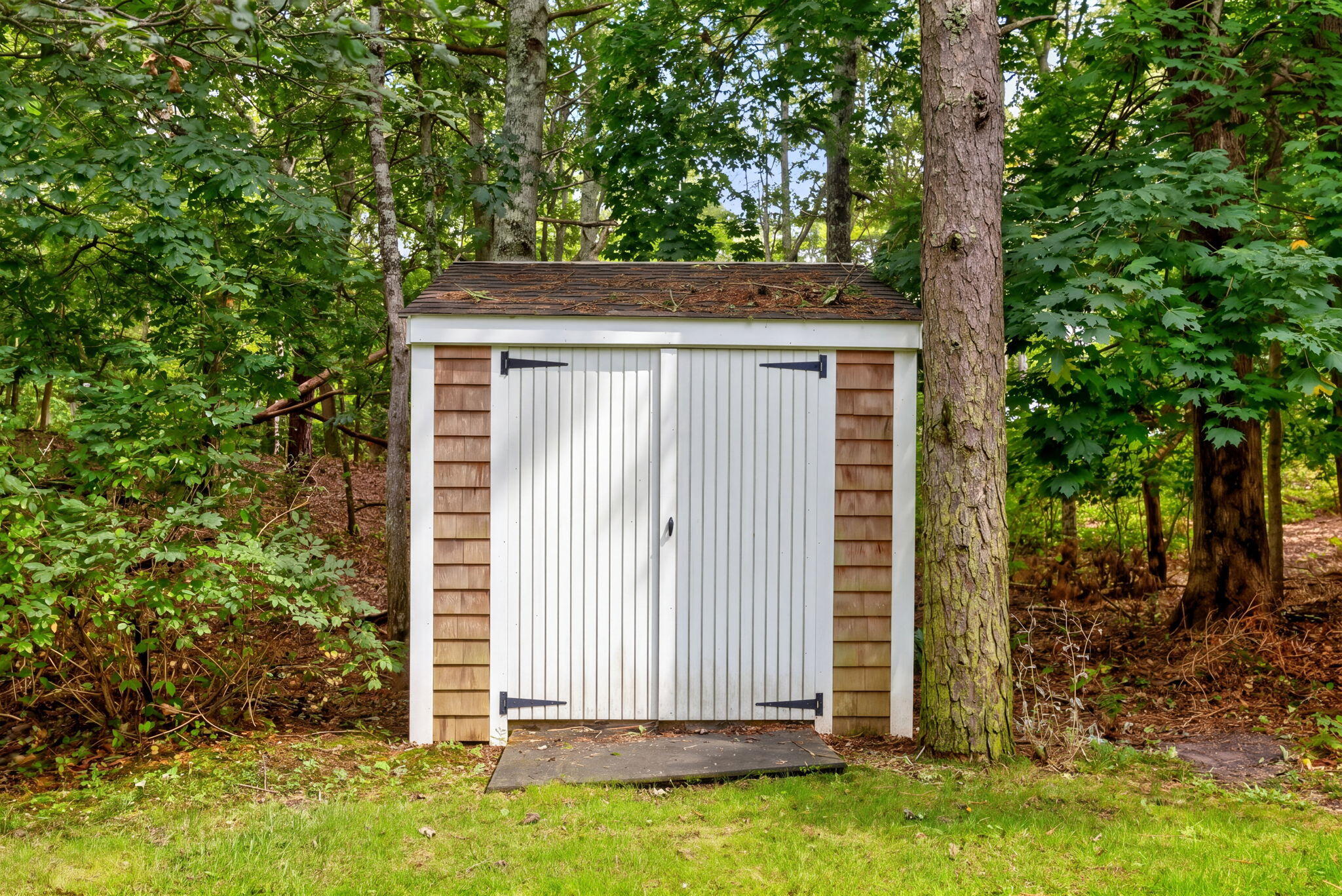 21 Cahoon Road Property Photo 38