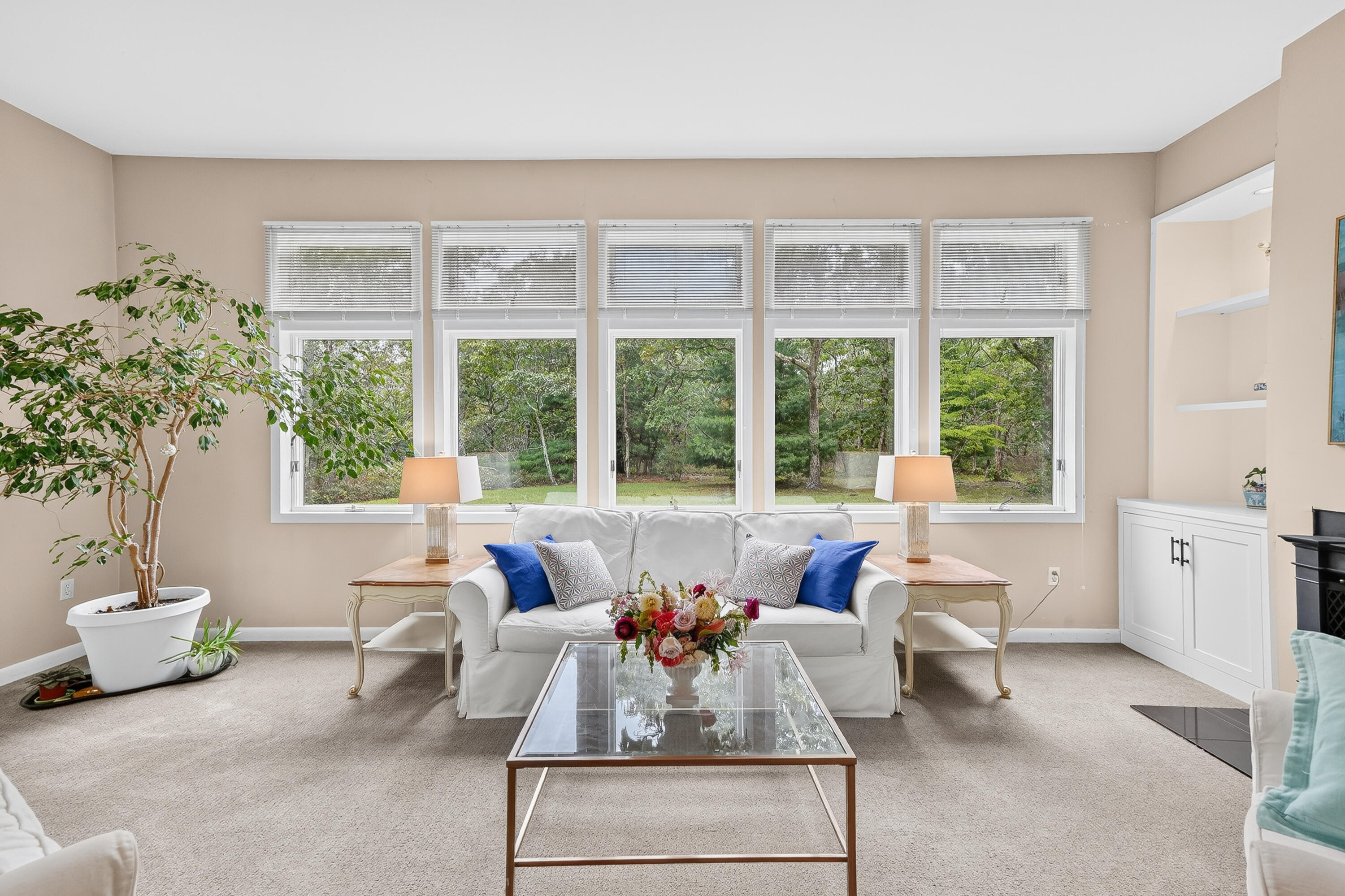 42 Bold Meadow Road Property Photo 10