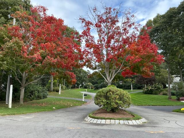 50 Acadia Drive Property Photo 2