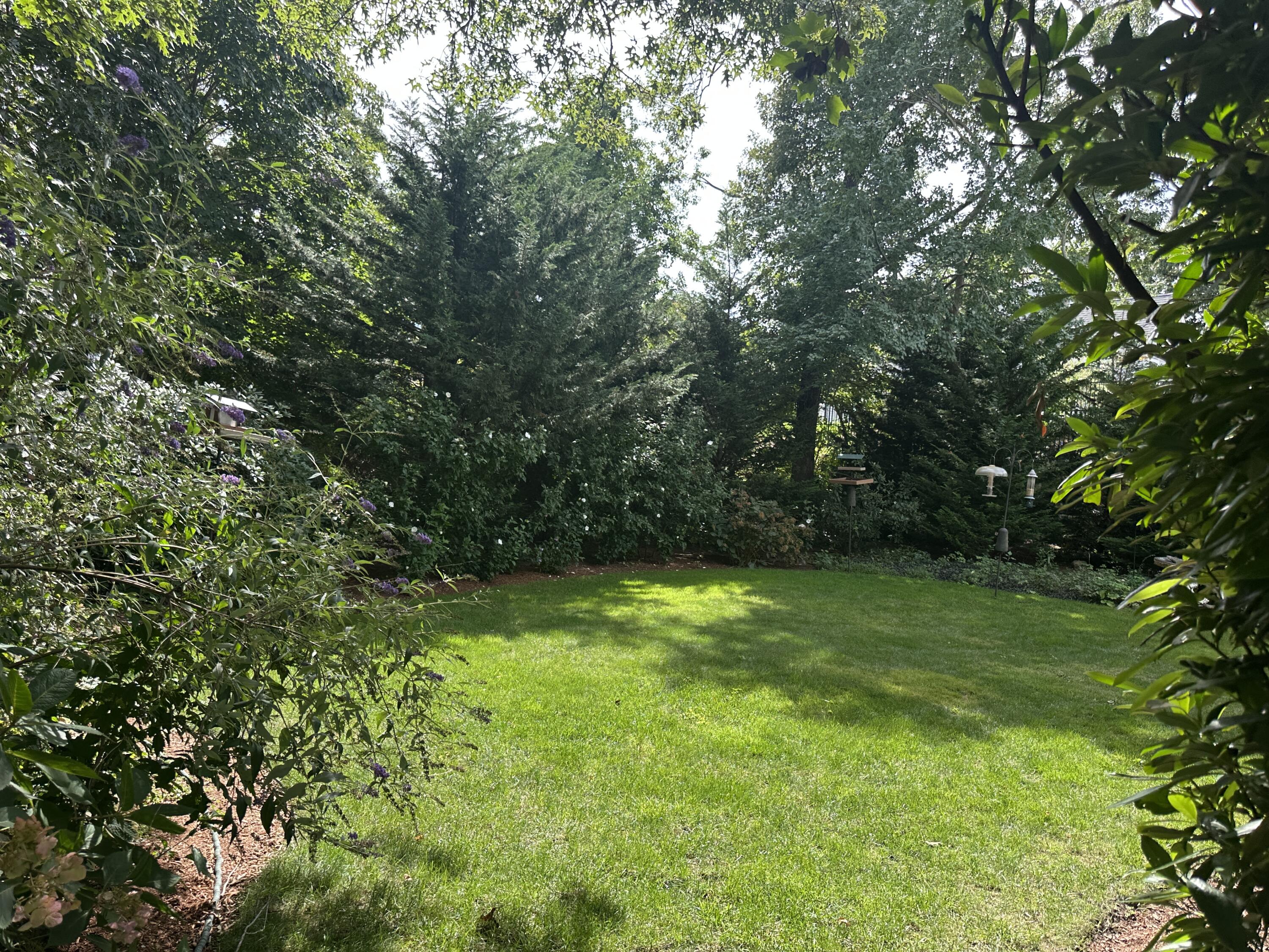 13 South Street Property Photo 15