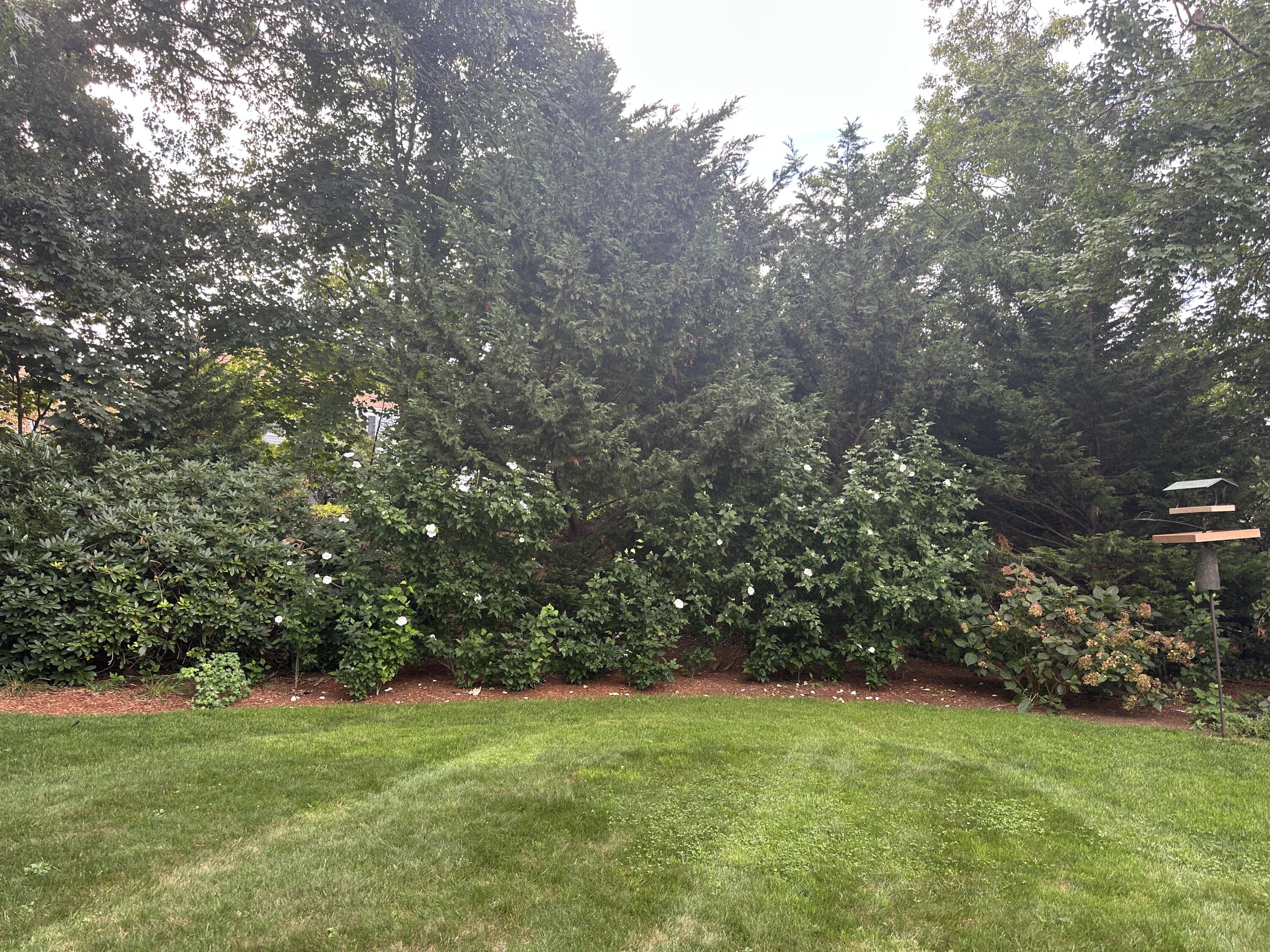 13 South Street Property Photo 23