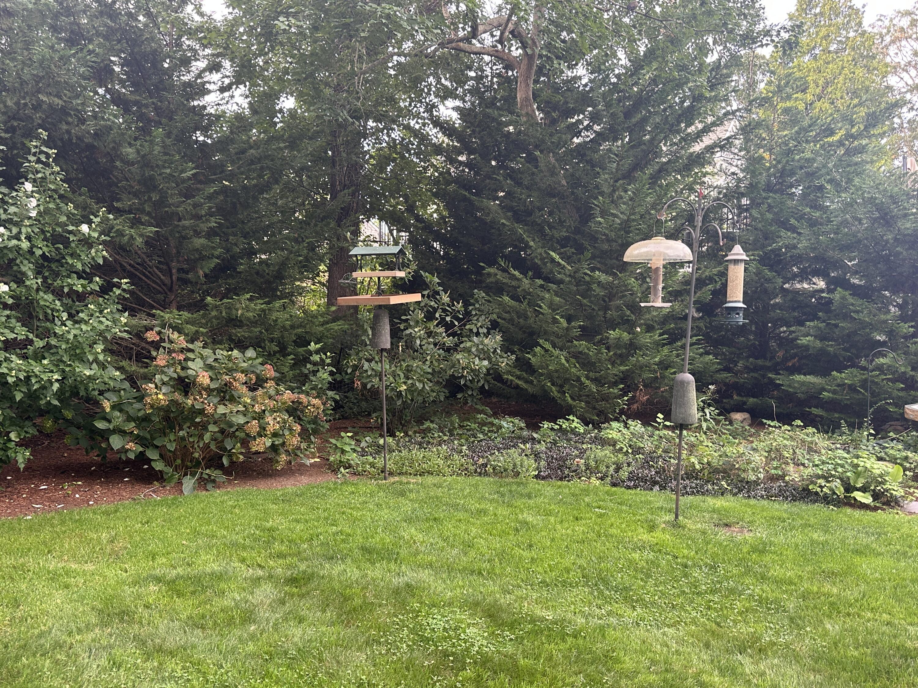 13 South Street Property Photo 28