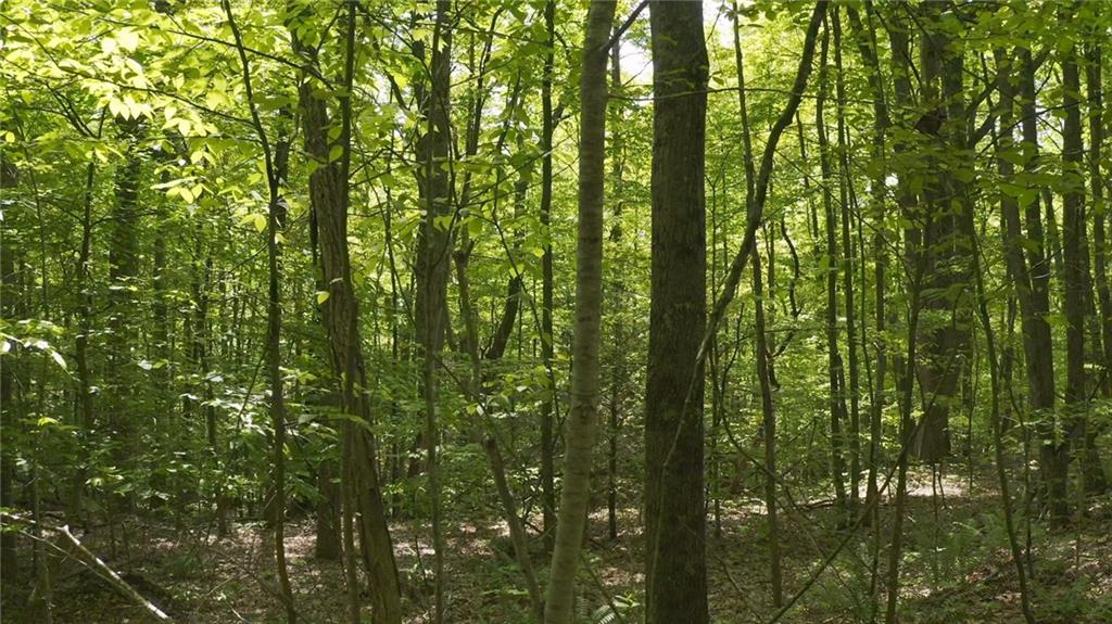 0 Christina Way Property Photo 1
